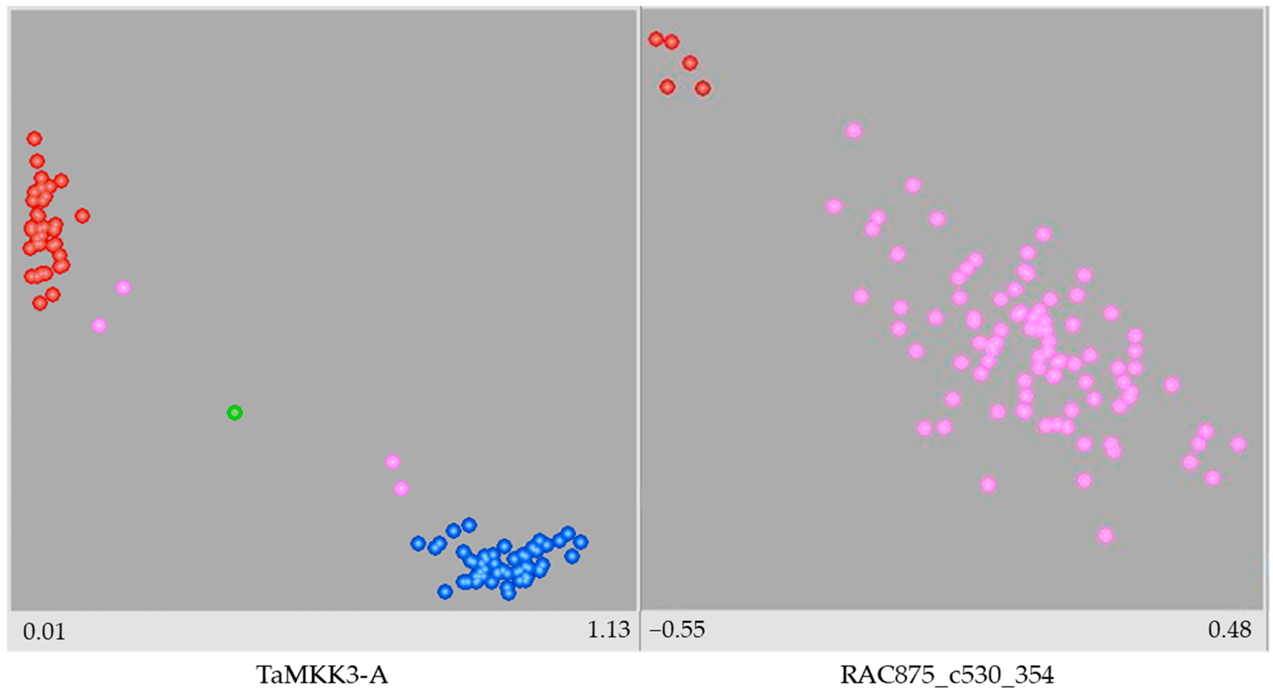Plants 14 01342 g001