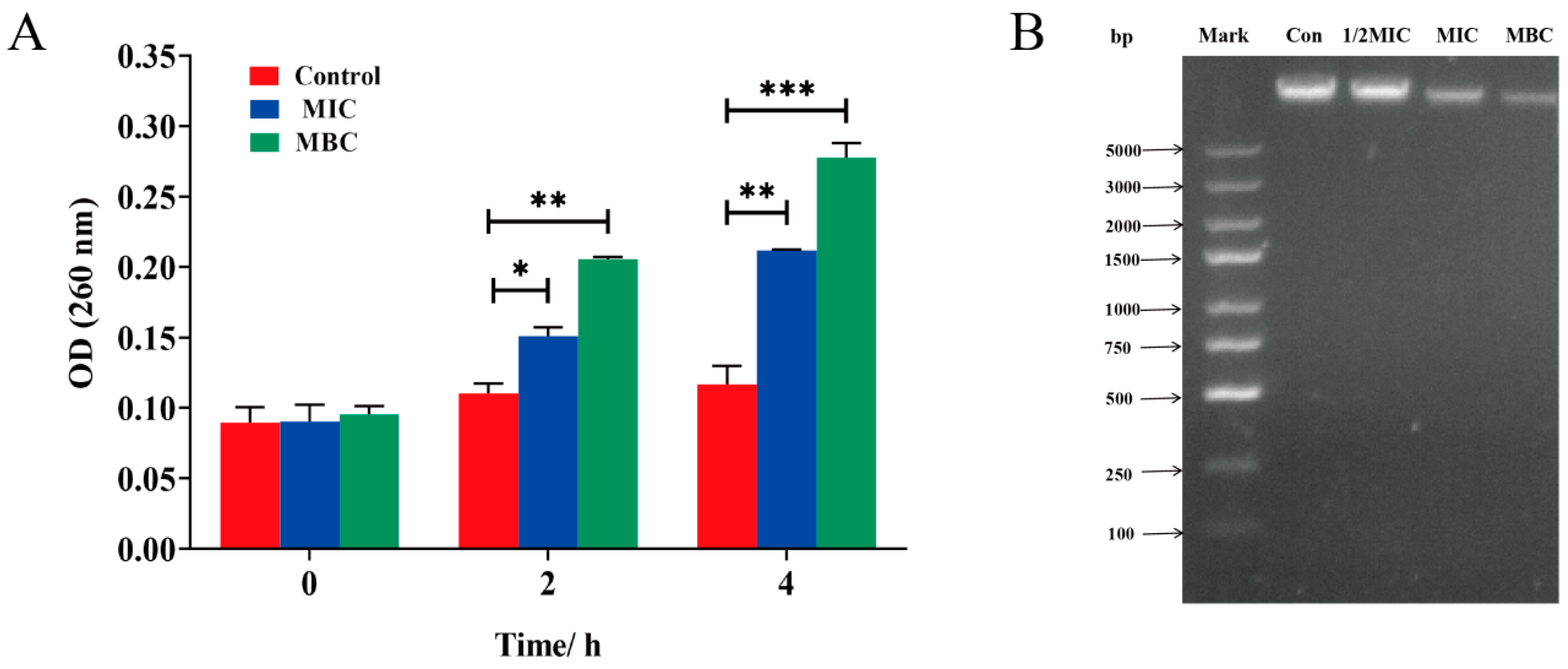 Plants 14 01343 g005