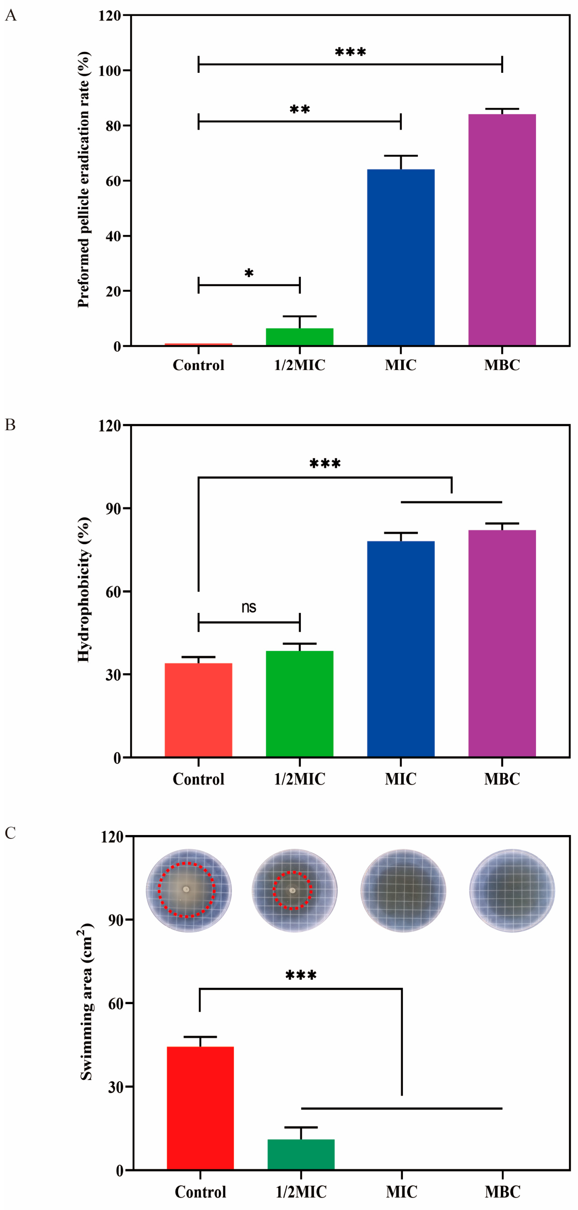 Plants 14 01343 g008