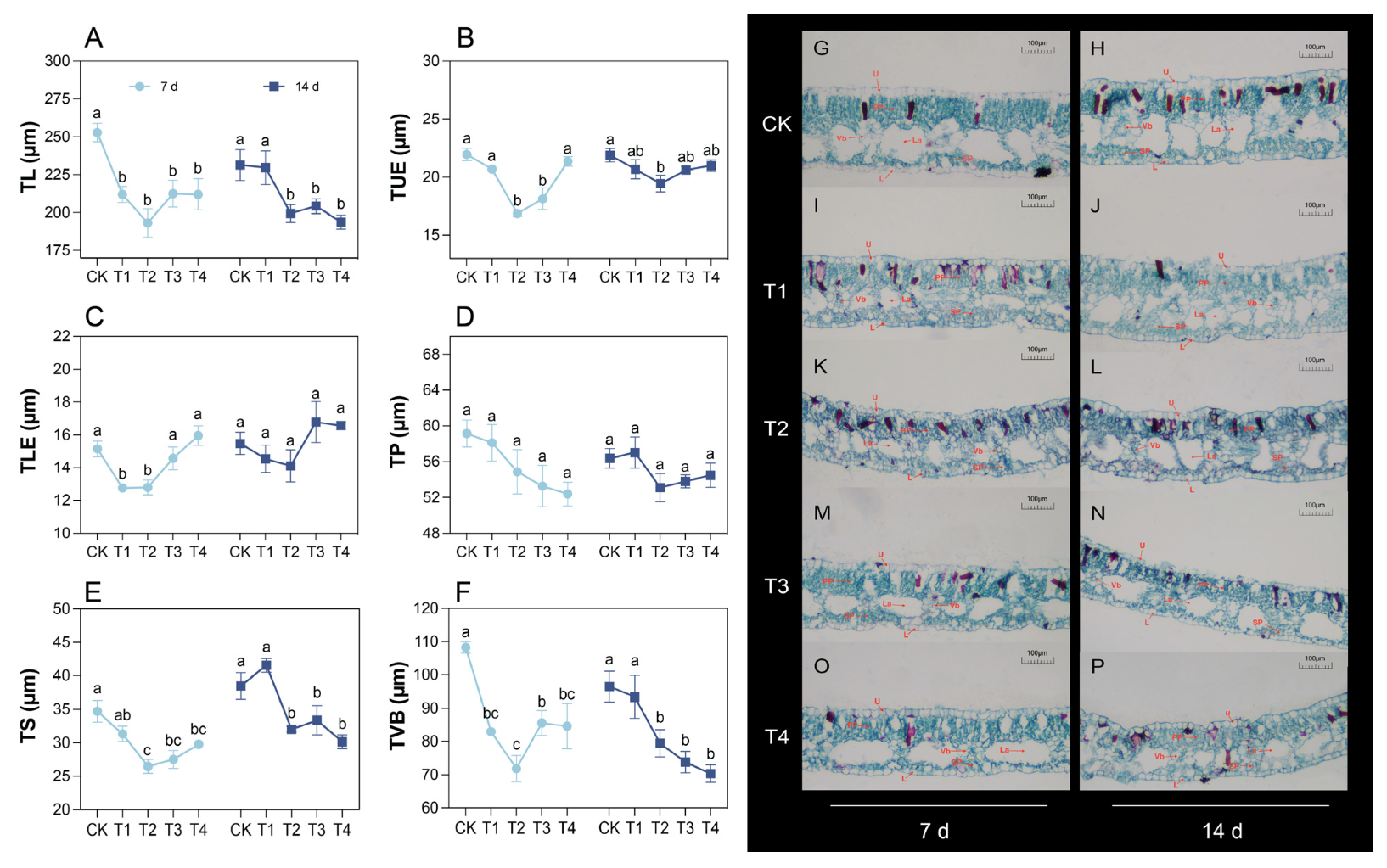 Plants 14 01344 g001