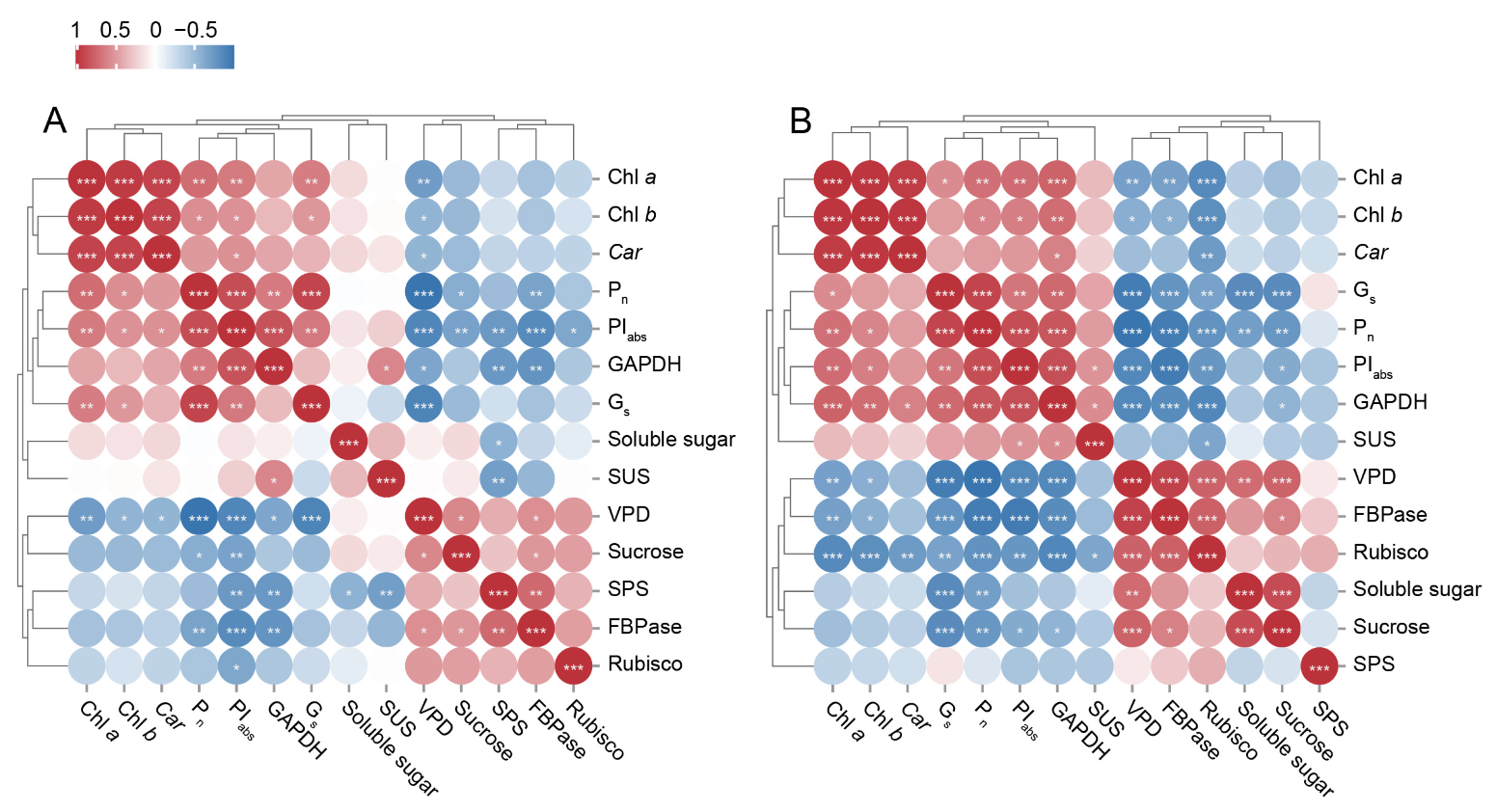 Plants 14 01344 g007
