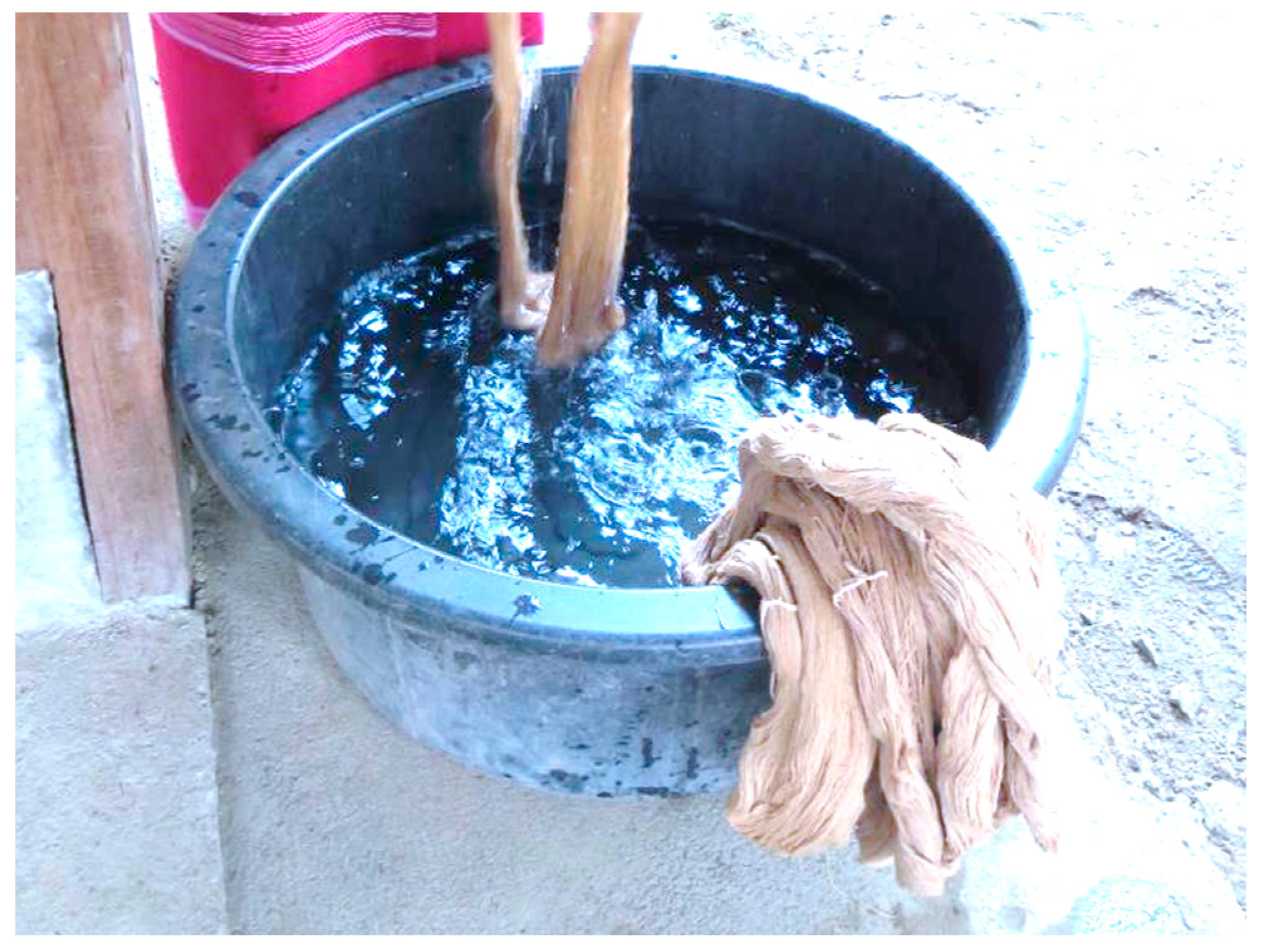 Plants 14 01348 g002