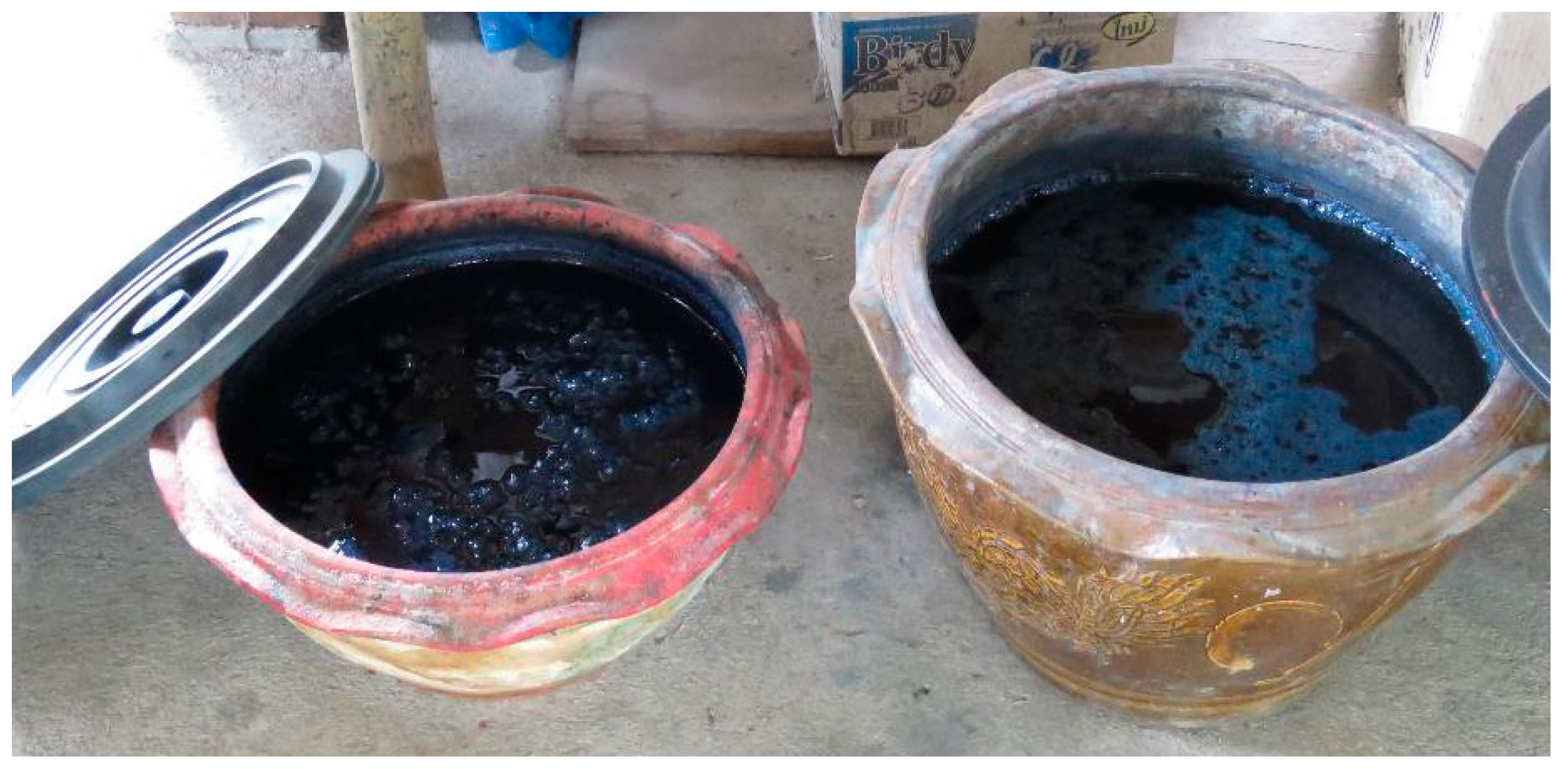 Plants 14 01348 g005