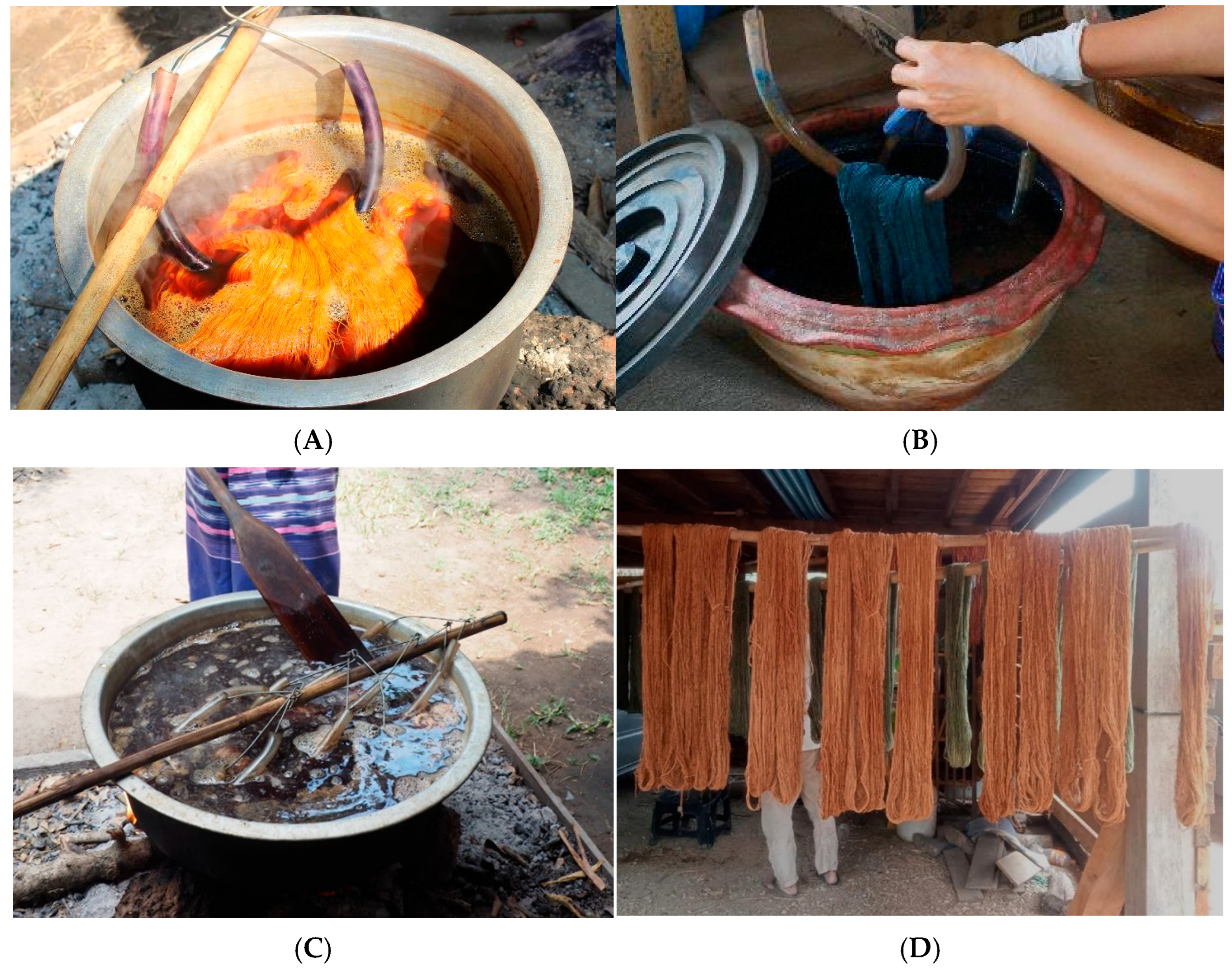 Plants 14 01348 g006