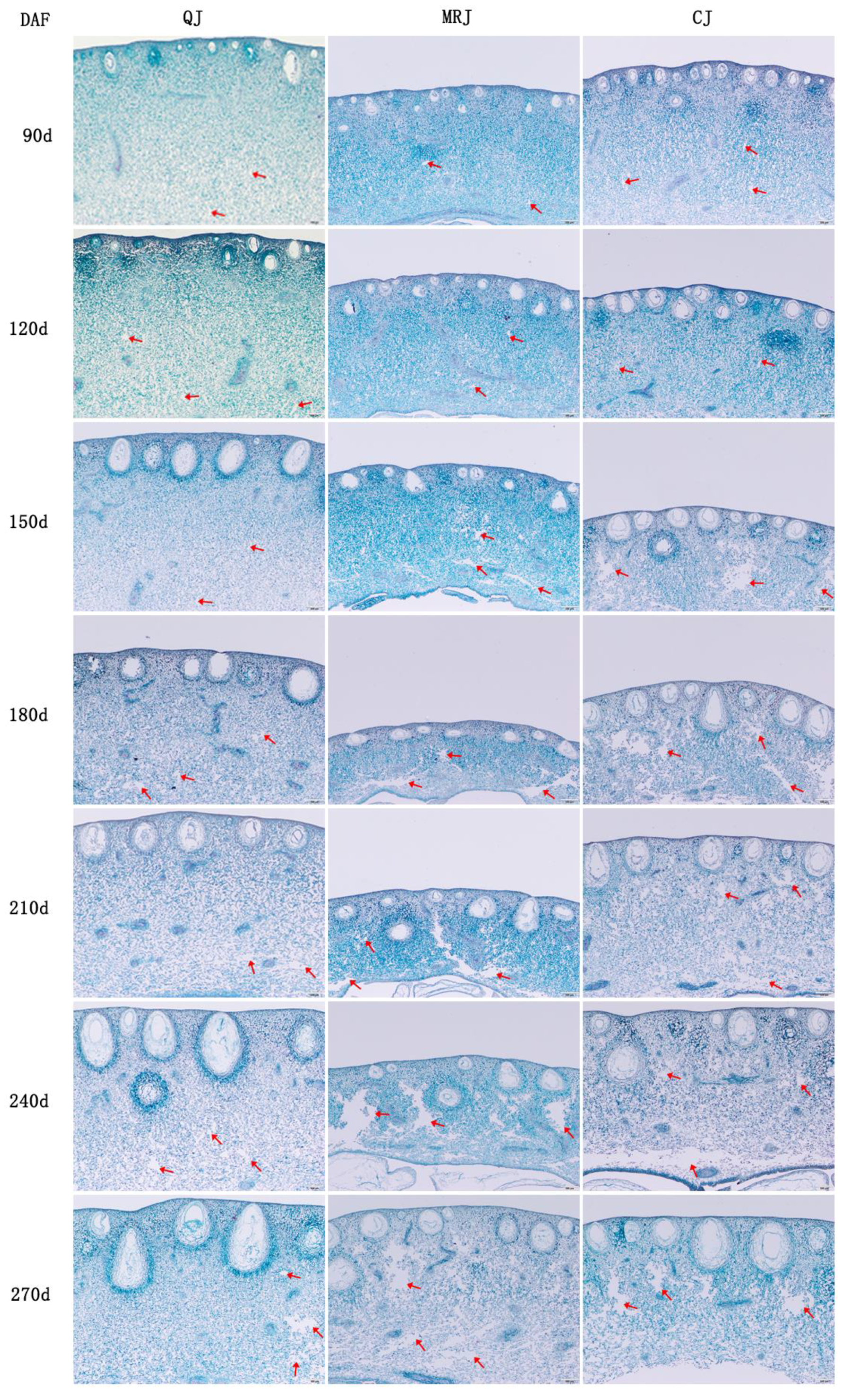 Plants 14 01349 g003