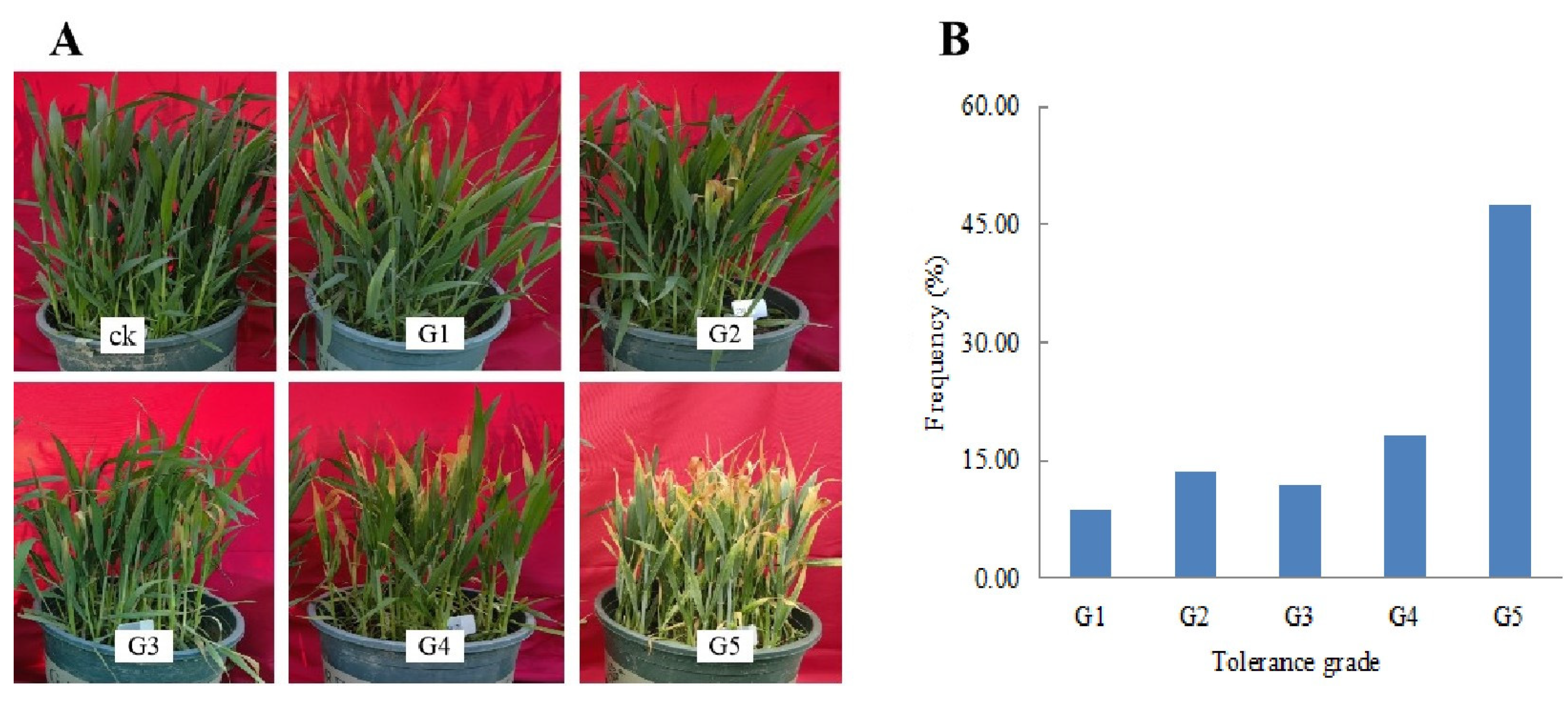 Plants 14 01350 g002