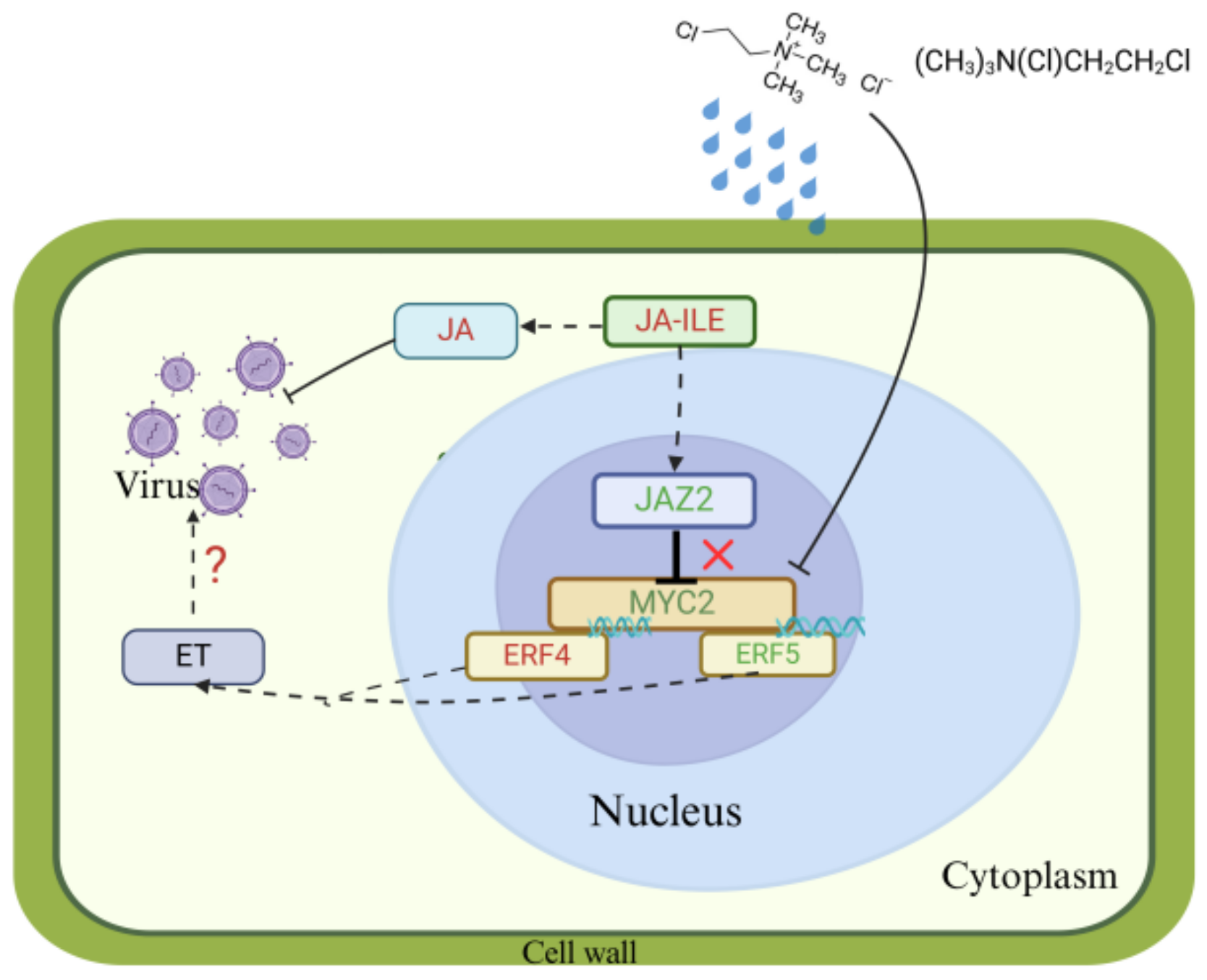 Plants 14 01353 g008