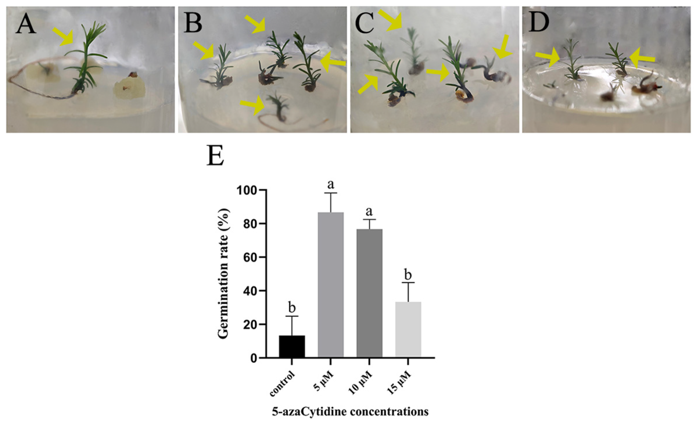 Plants 14 01354 g007
