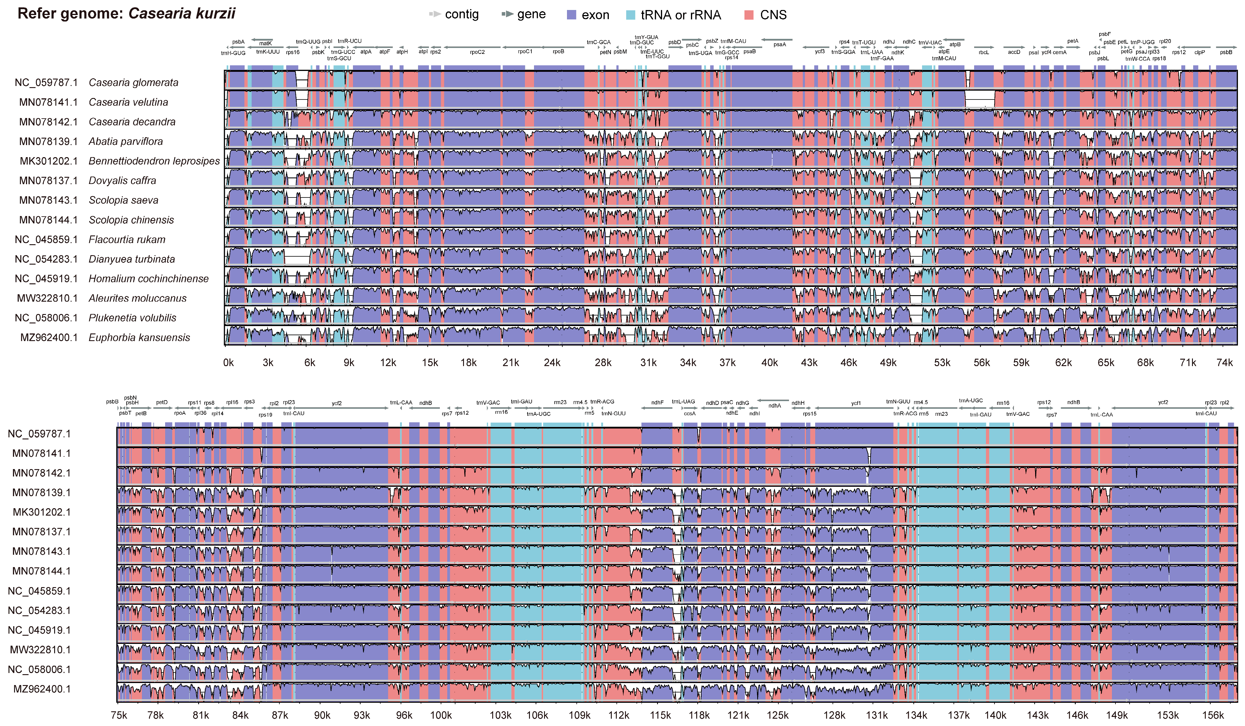 Plants 14 01356 g005