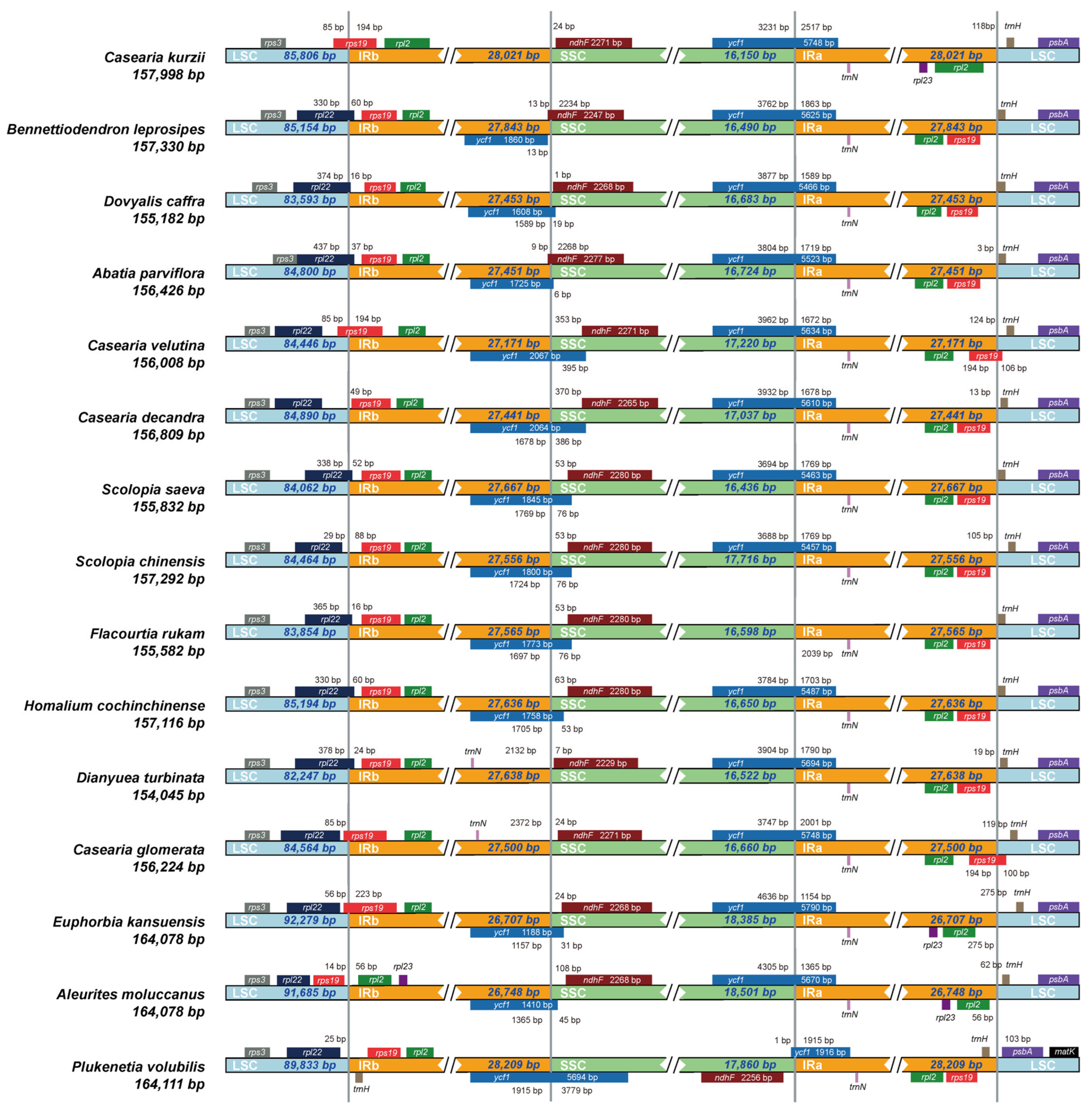 Plants 14 01356 g006
