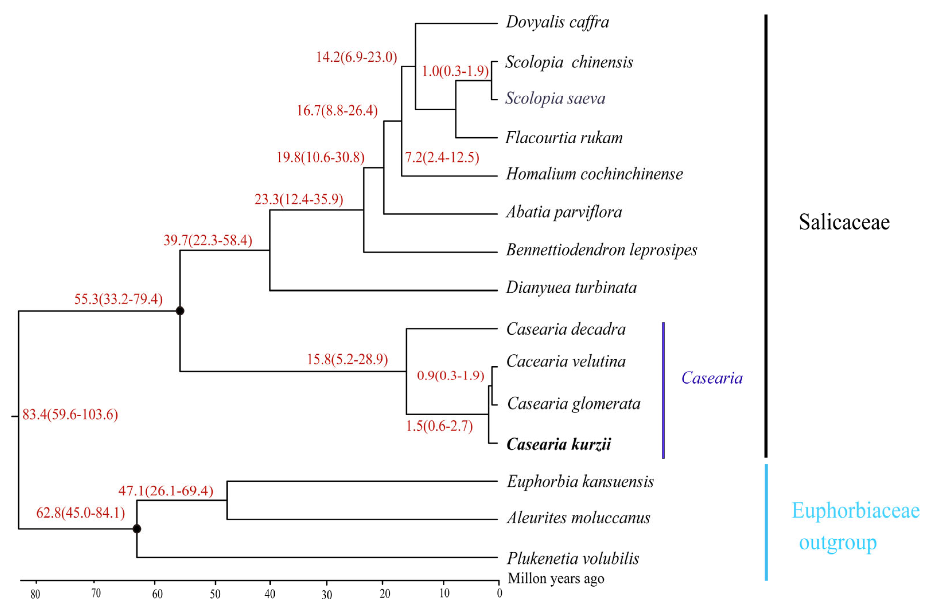 Plants 14 01356 g010
