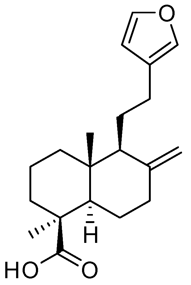 Plants 14 01357 g001
