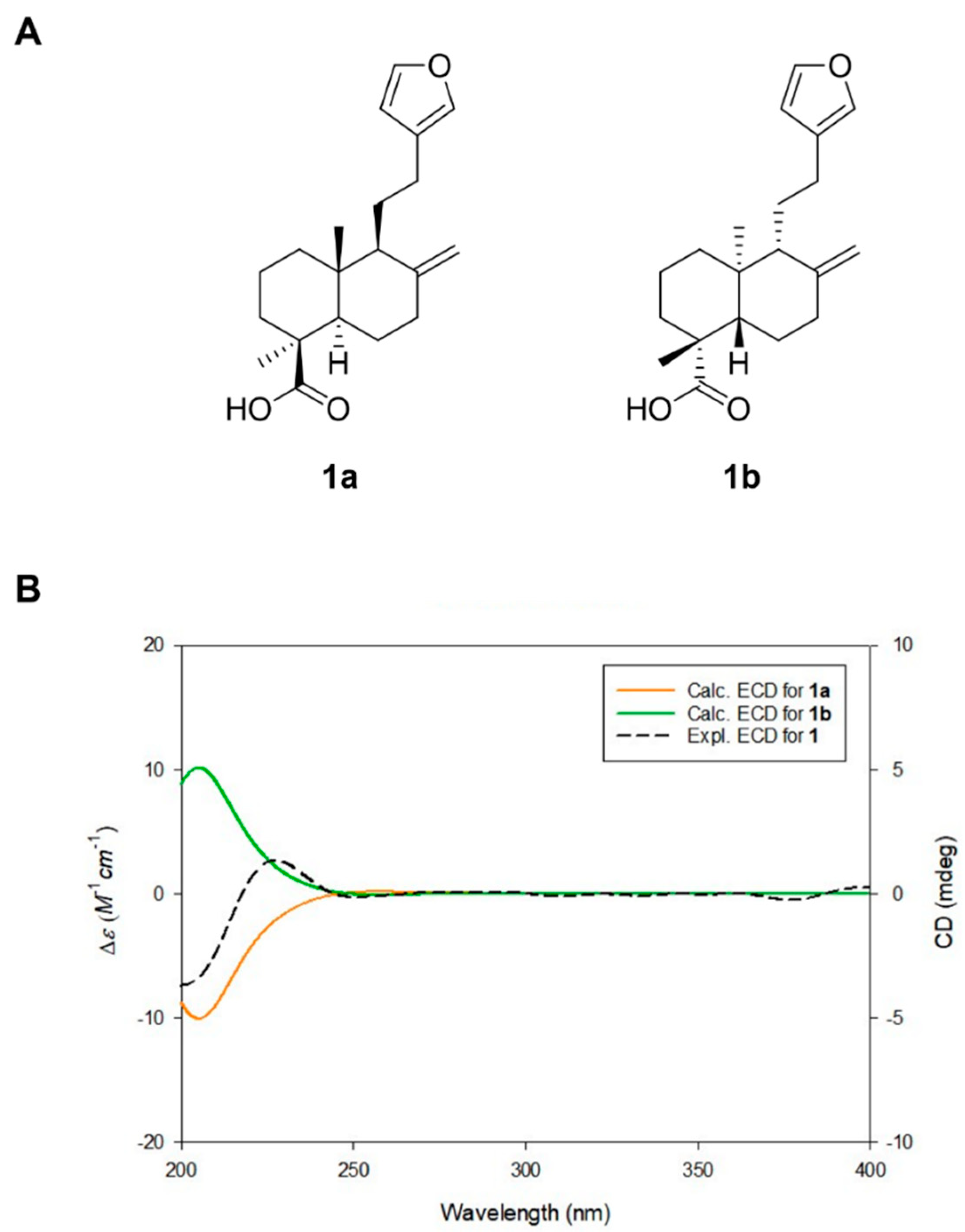Plants 14 01357 g002