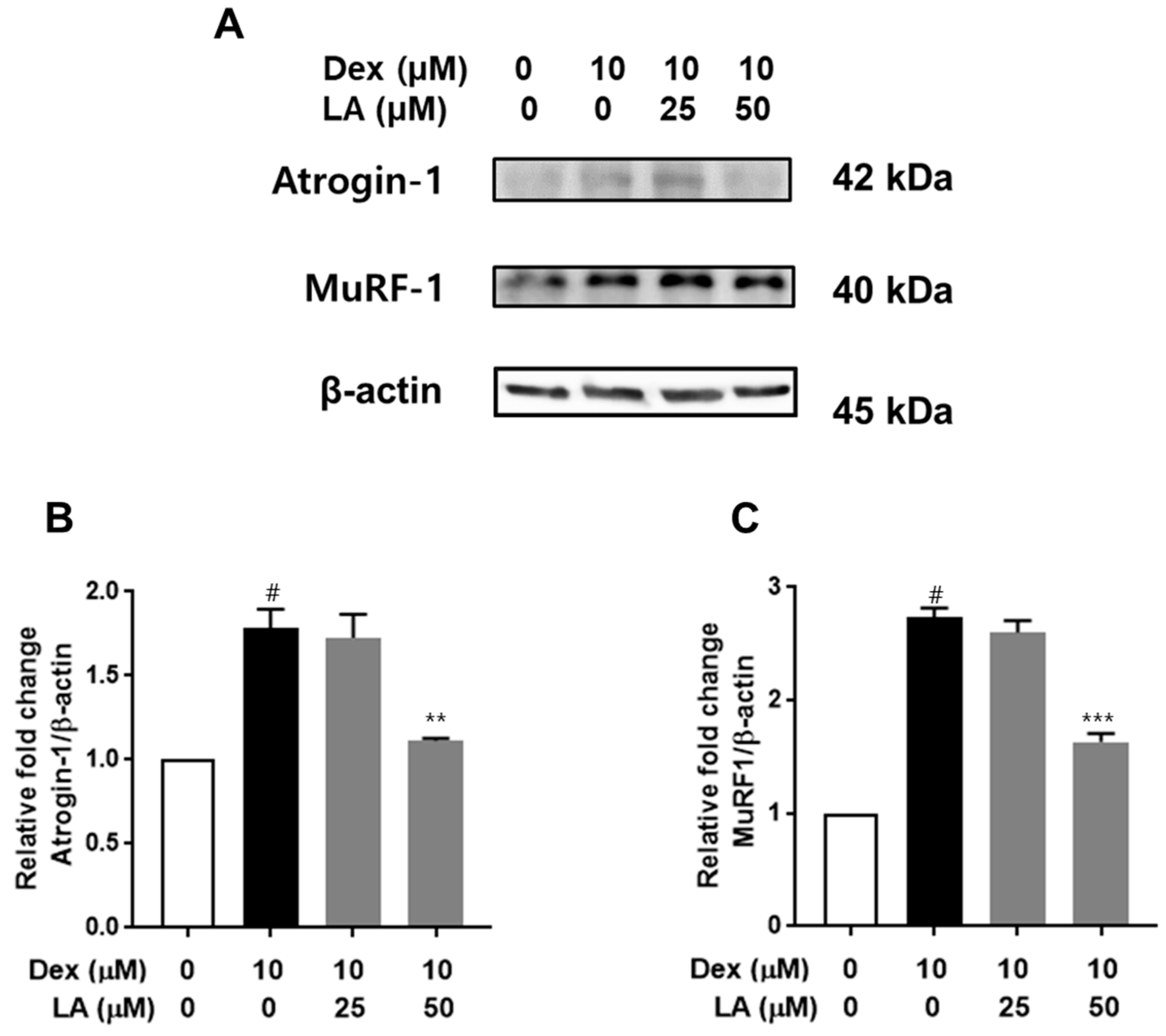 Plants 14 01357 g005
