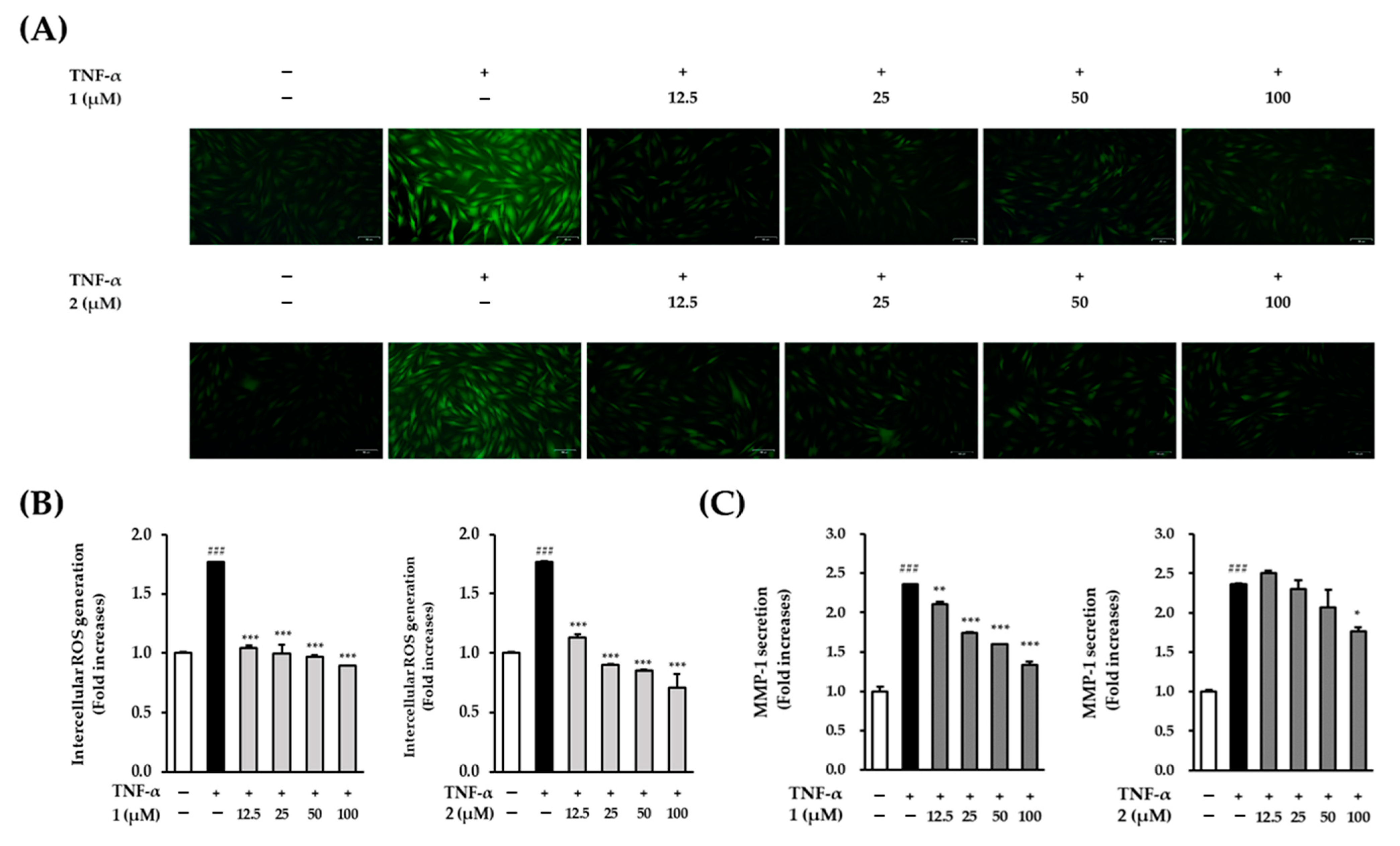 Plants 14 01358 g004