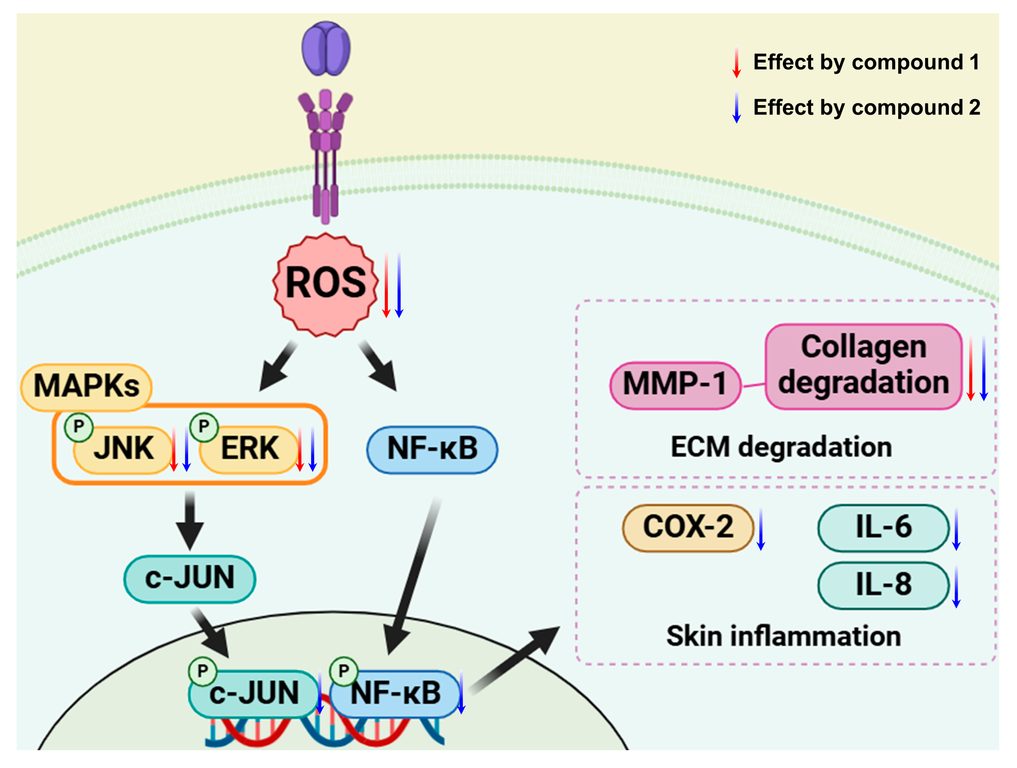 Plants 14 01358 sch001