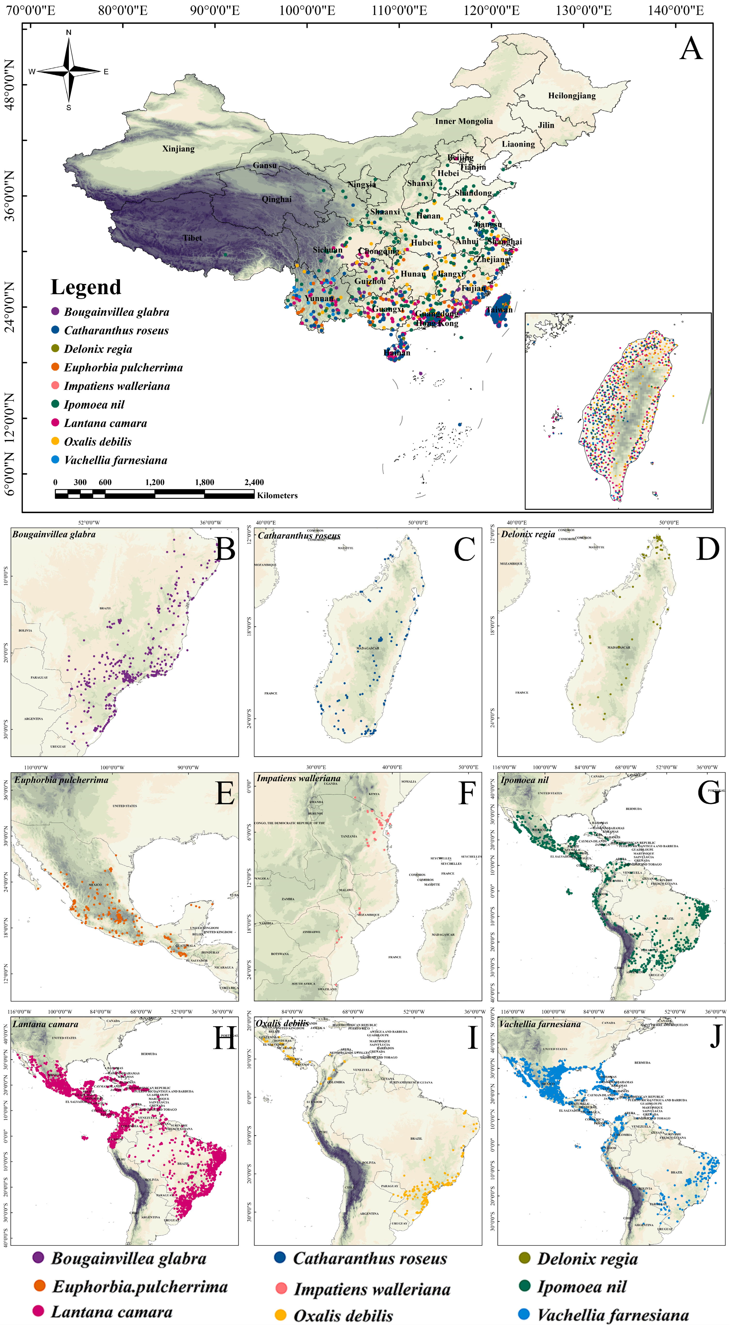 Plants 14 01361 g007