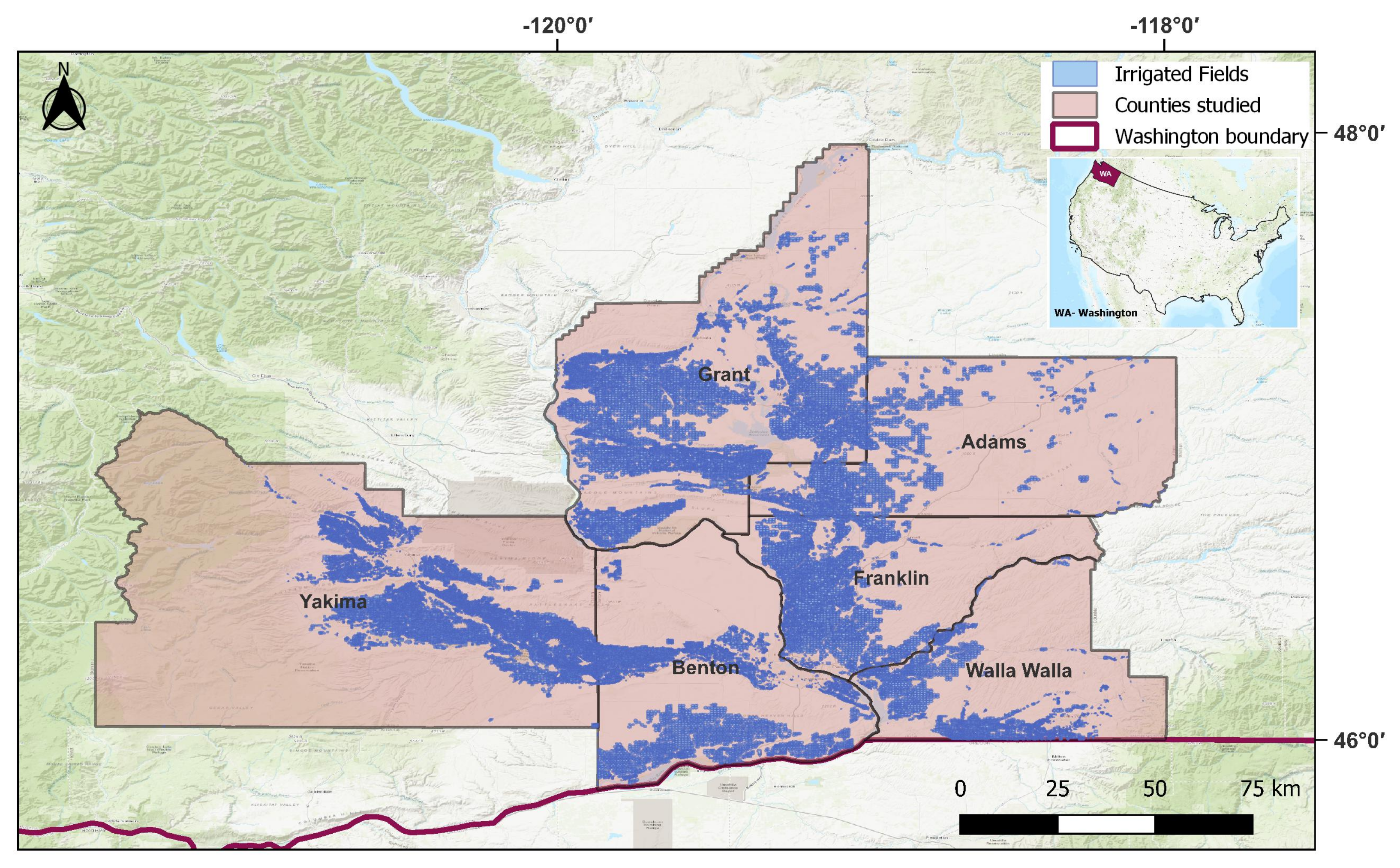 Plants 14 01362 g001