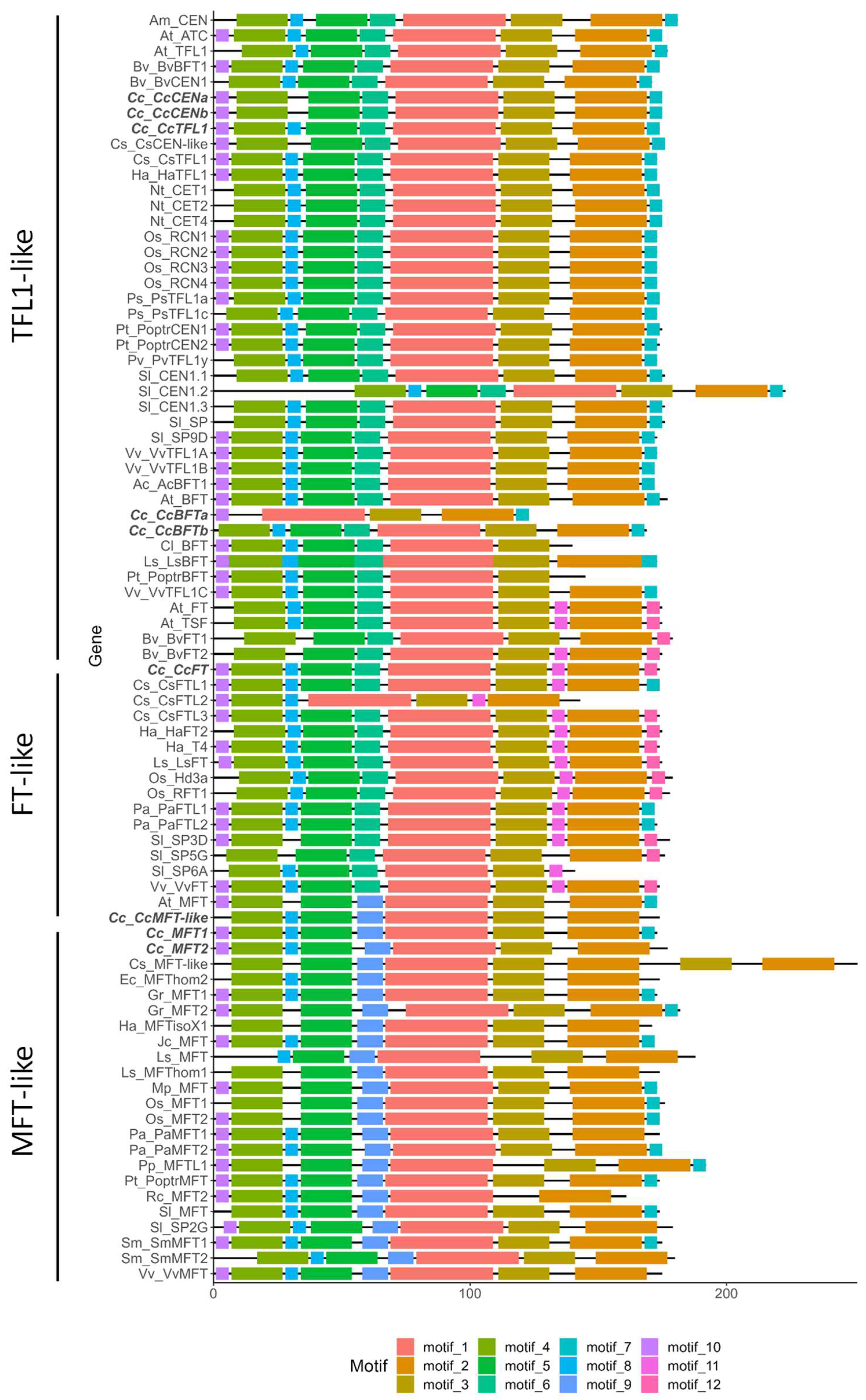 Plants 14 01364 g002