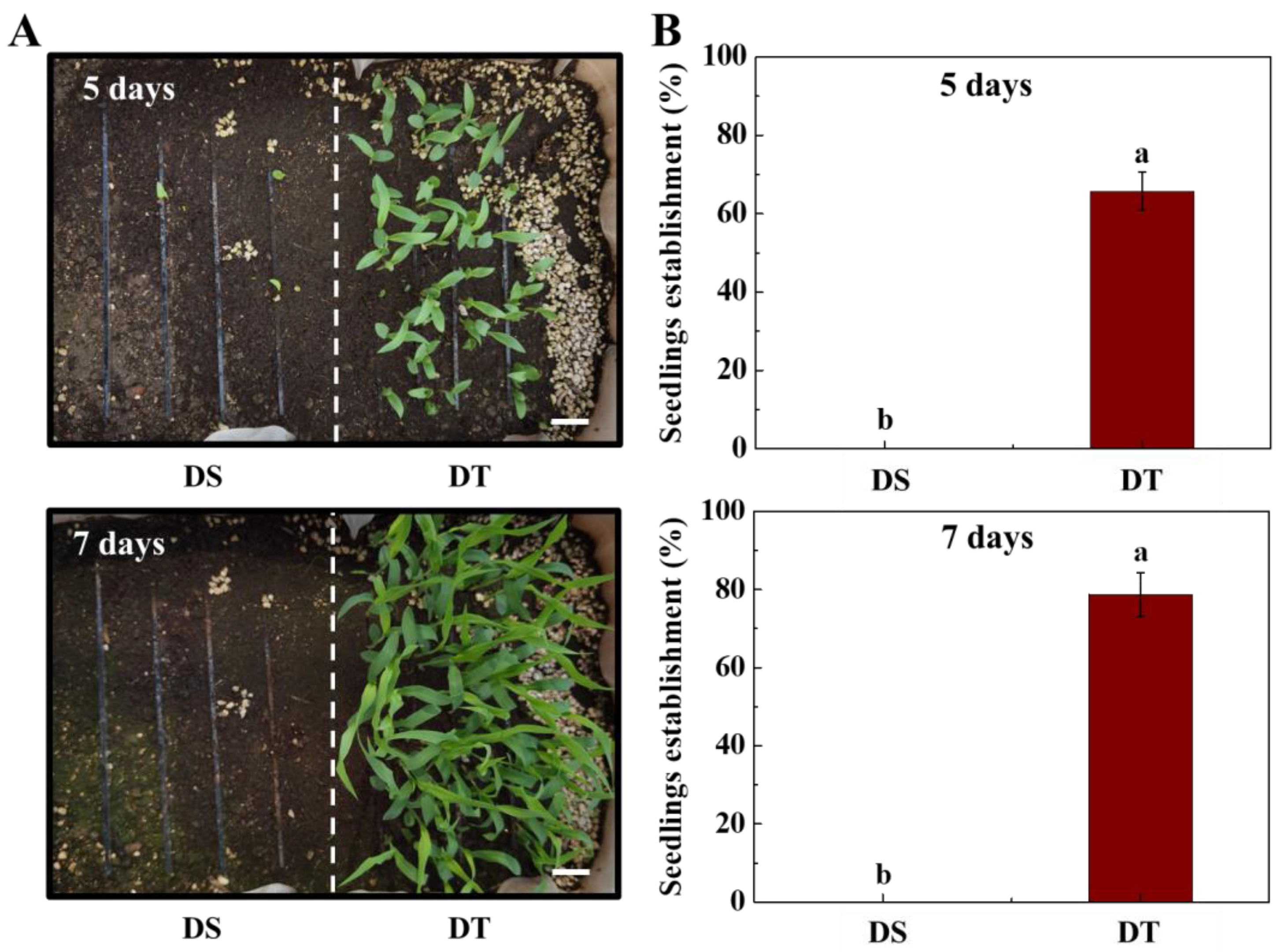 Plants 14 01366 g001