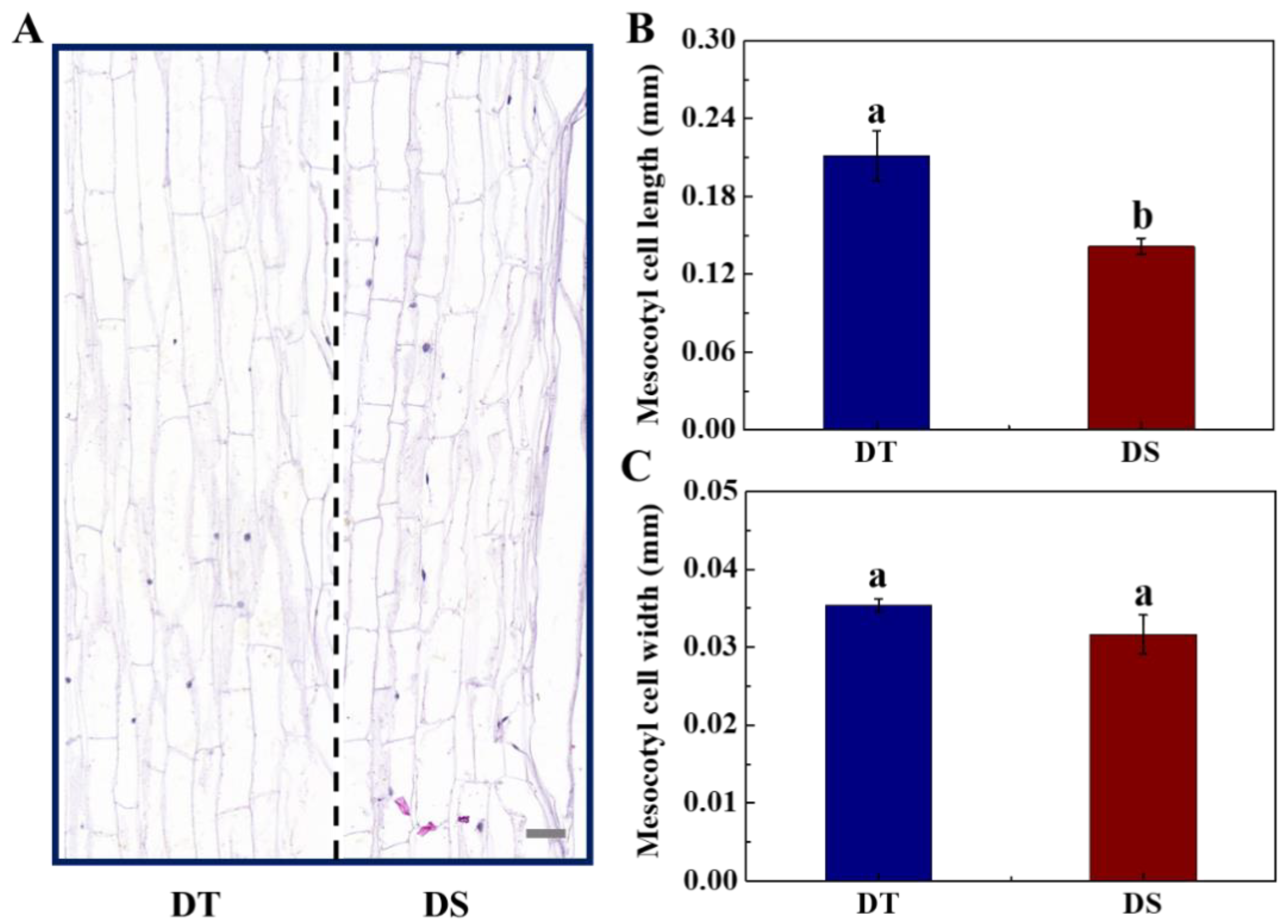 Plants 14 01366 g007