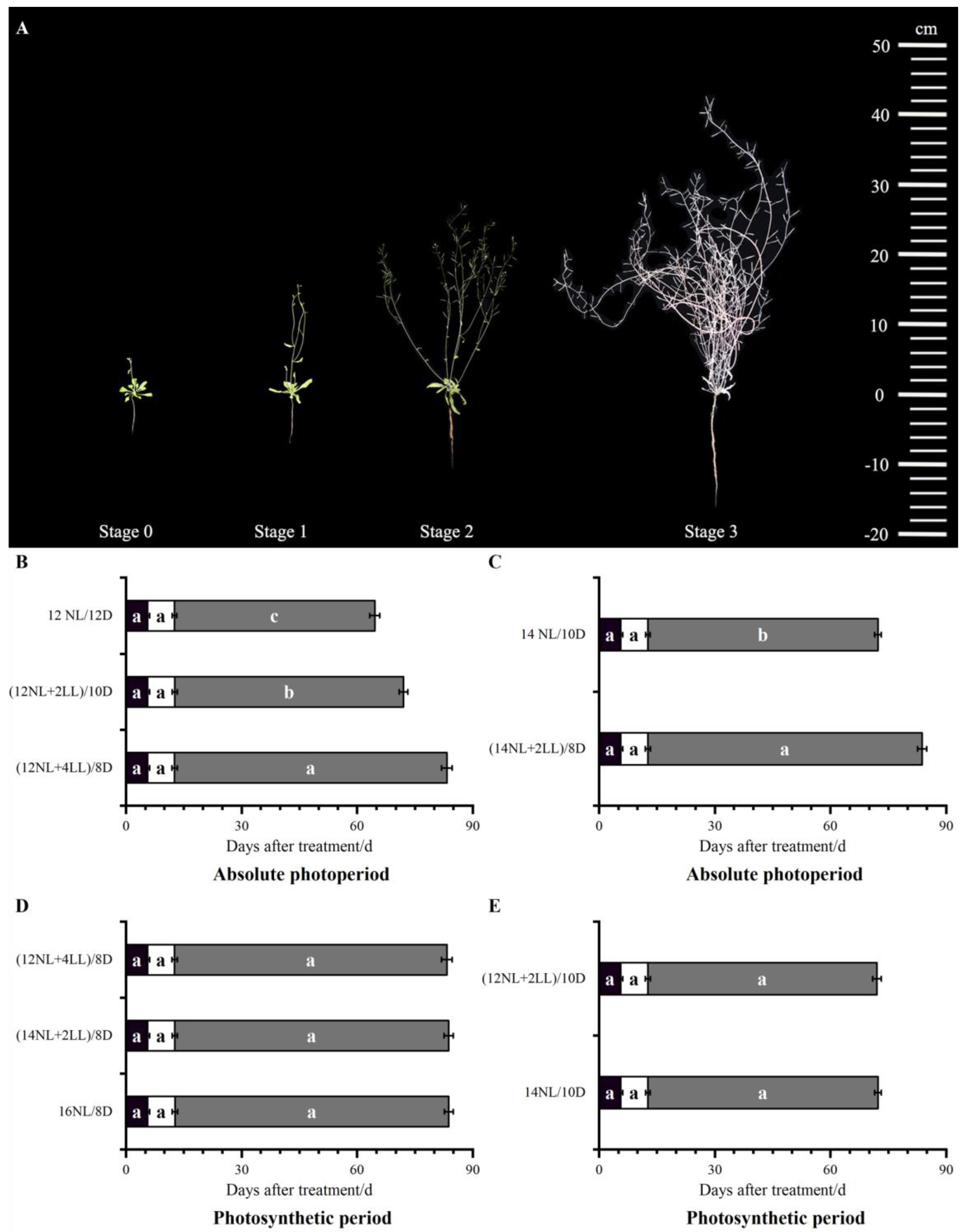 Plants 14 01368 g001