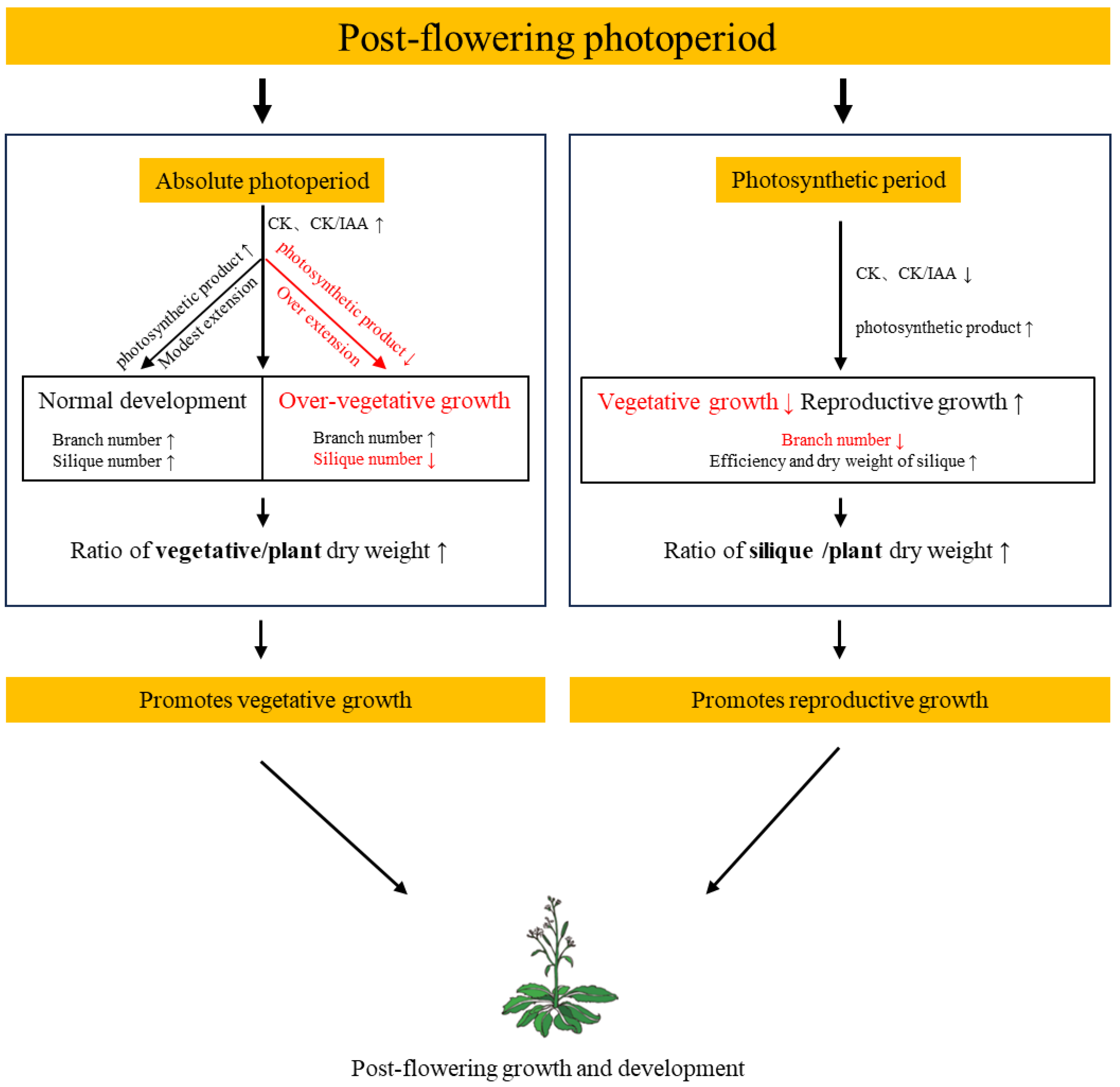 Plants 14 01368 g004