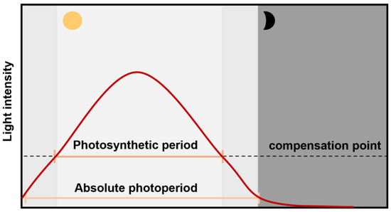 Plants Distinguish Different Photoperiods to Independently Regulate ...