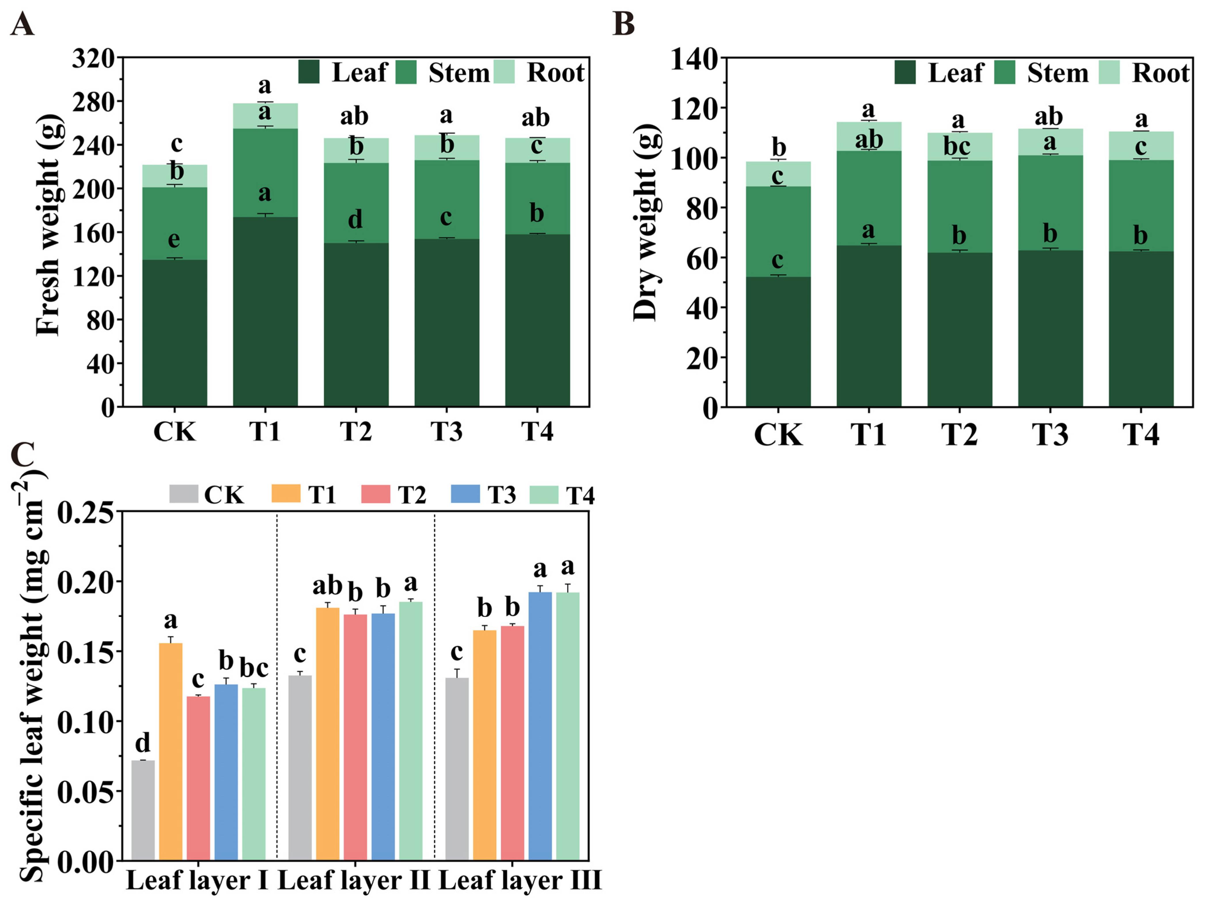 Plants 14 01369 g001
