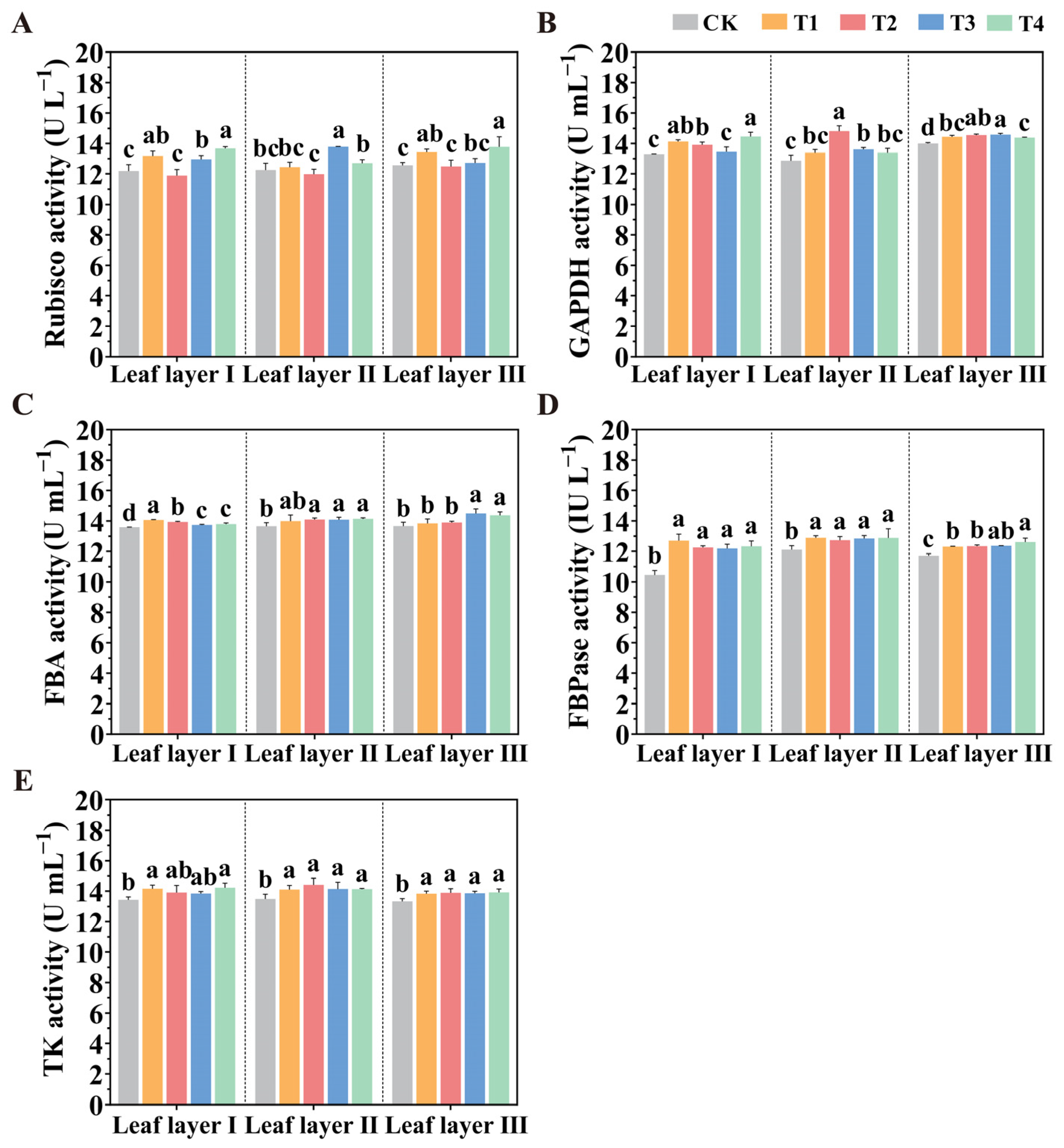 Plants 14 01369 g006