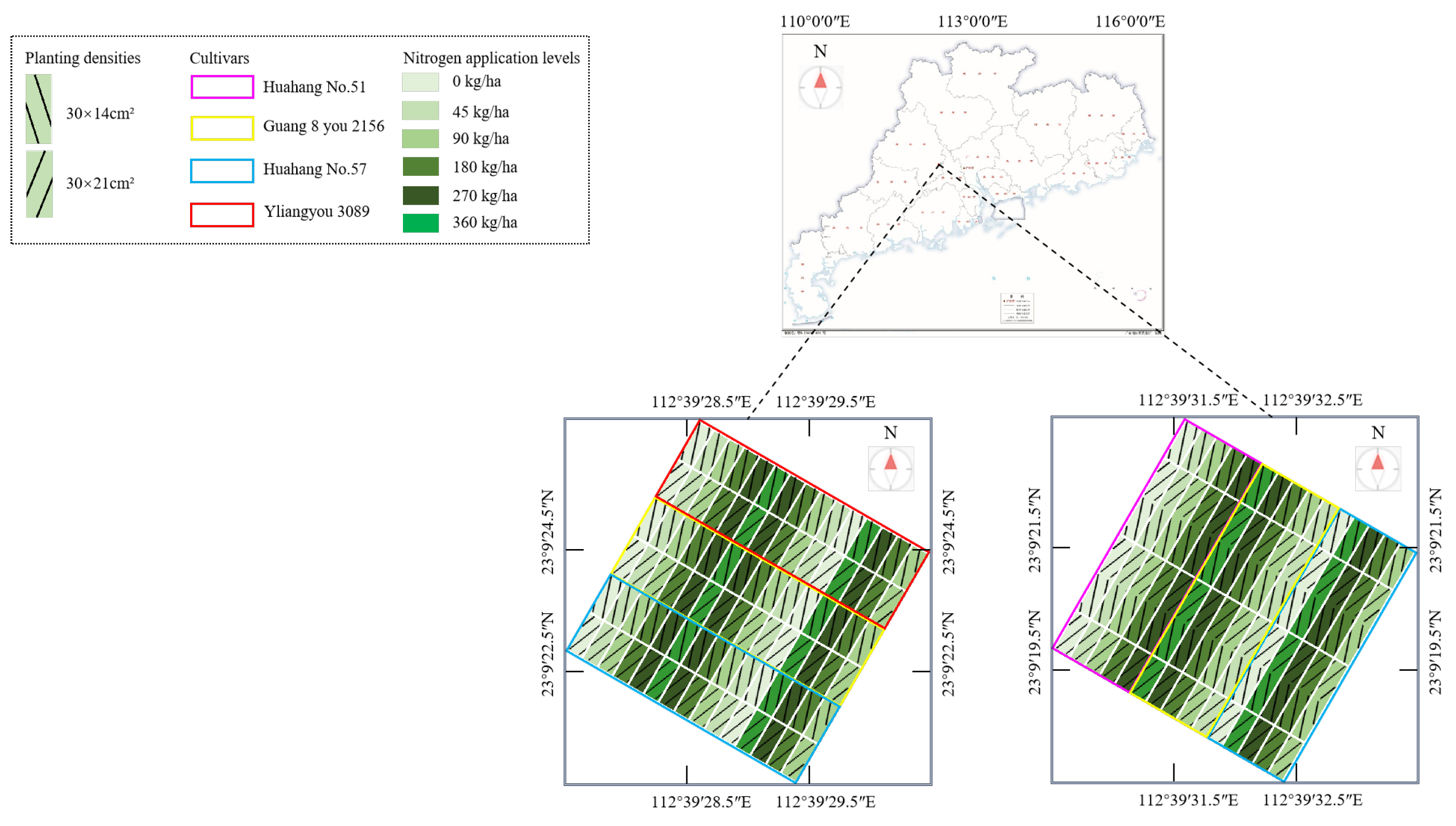 Plants 14 01370 g001
