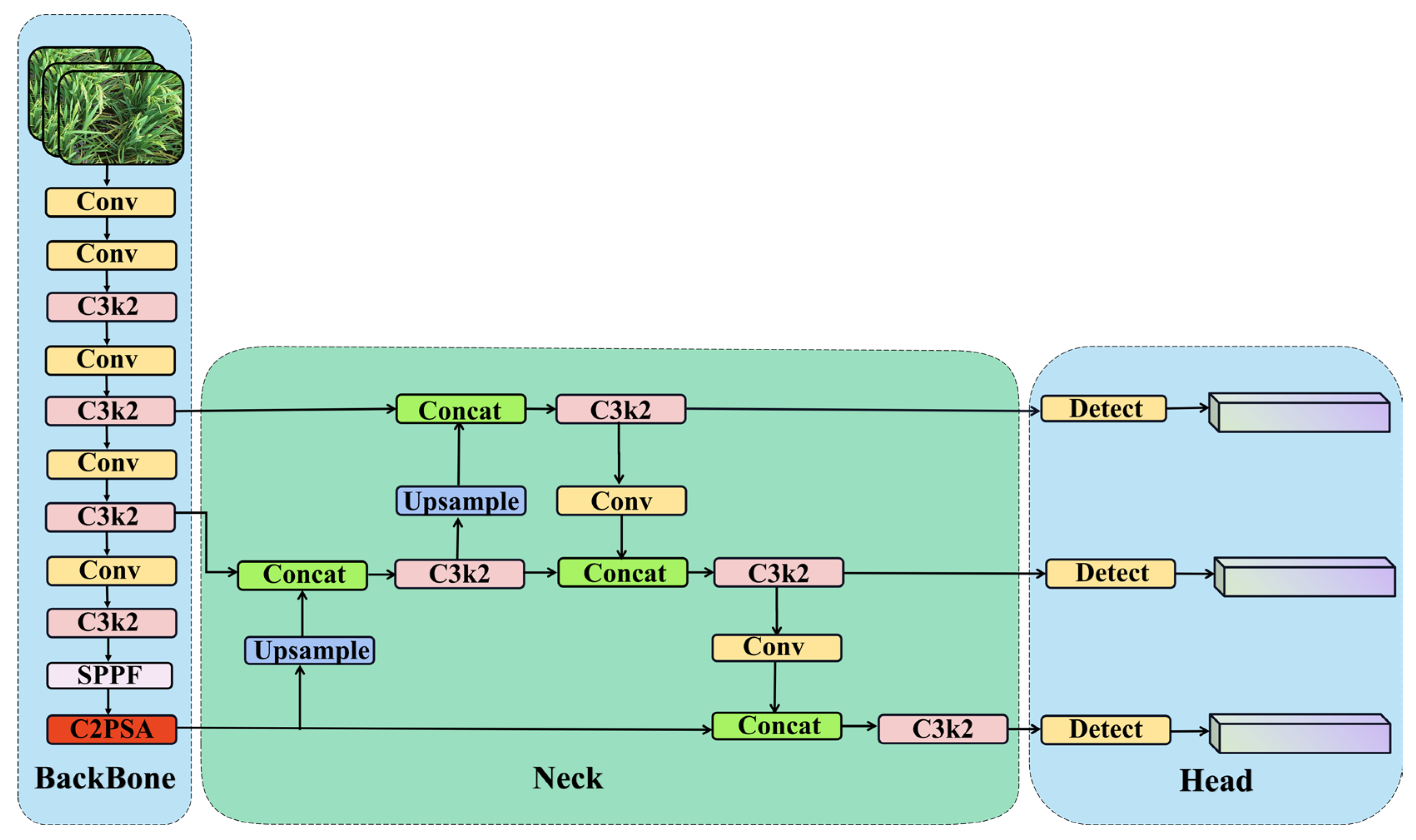 Plants 14 01370 g008