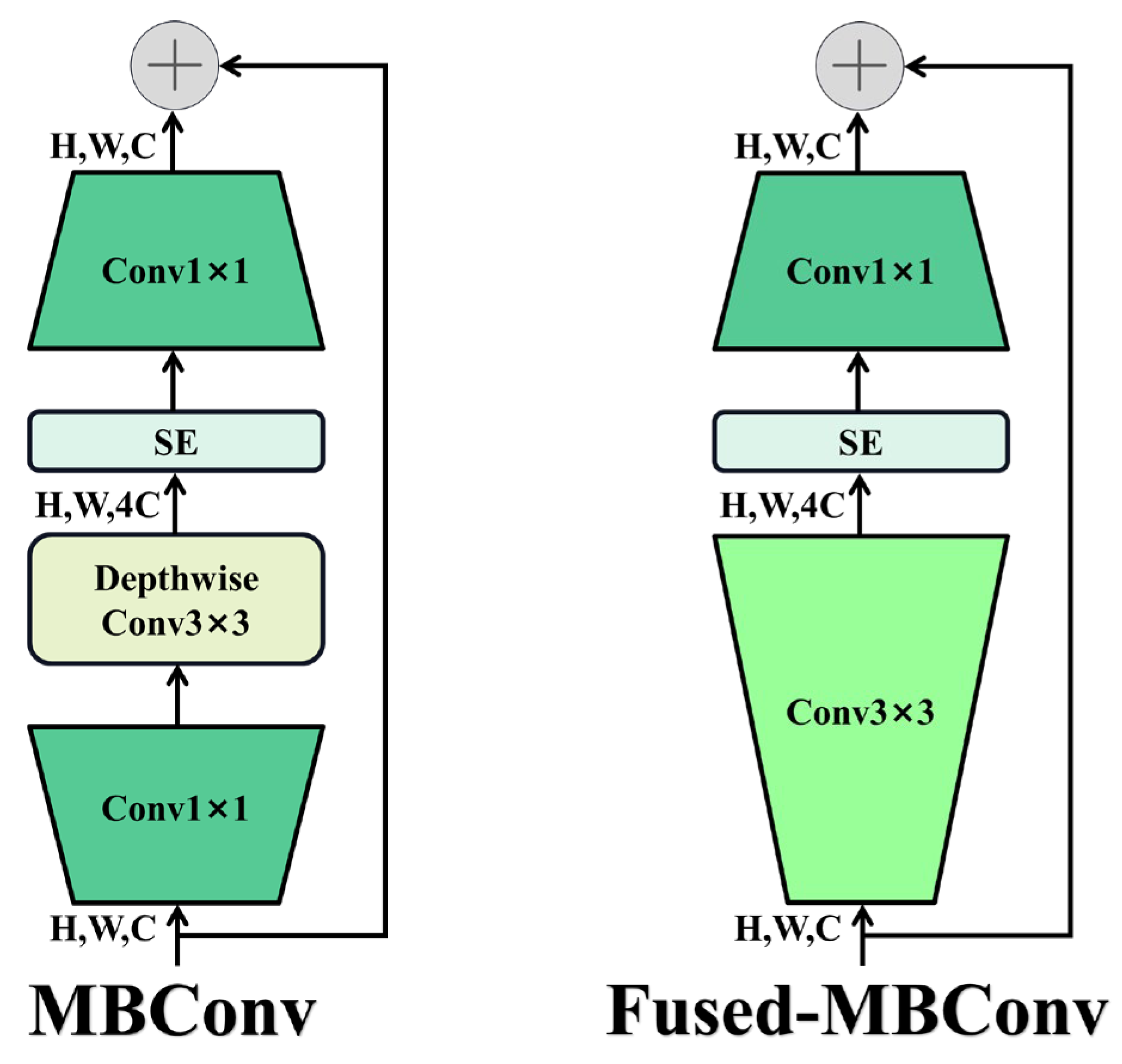 Plants 14 01370 g011
