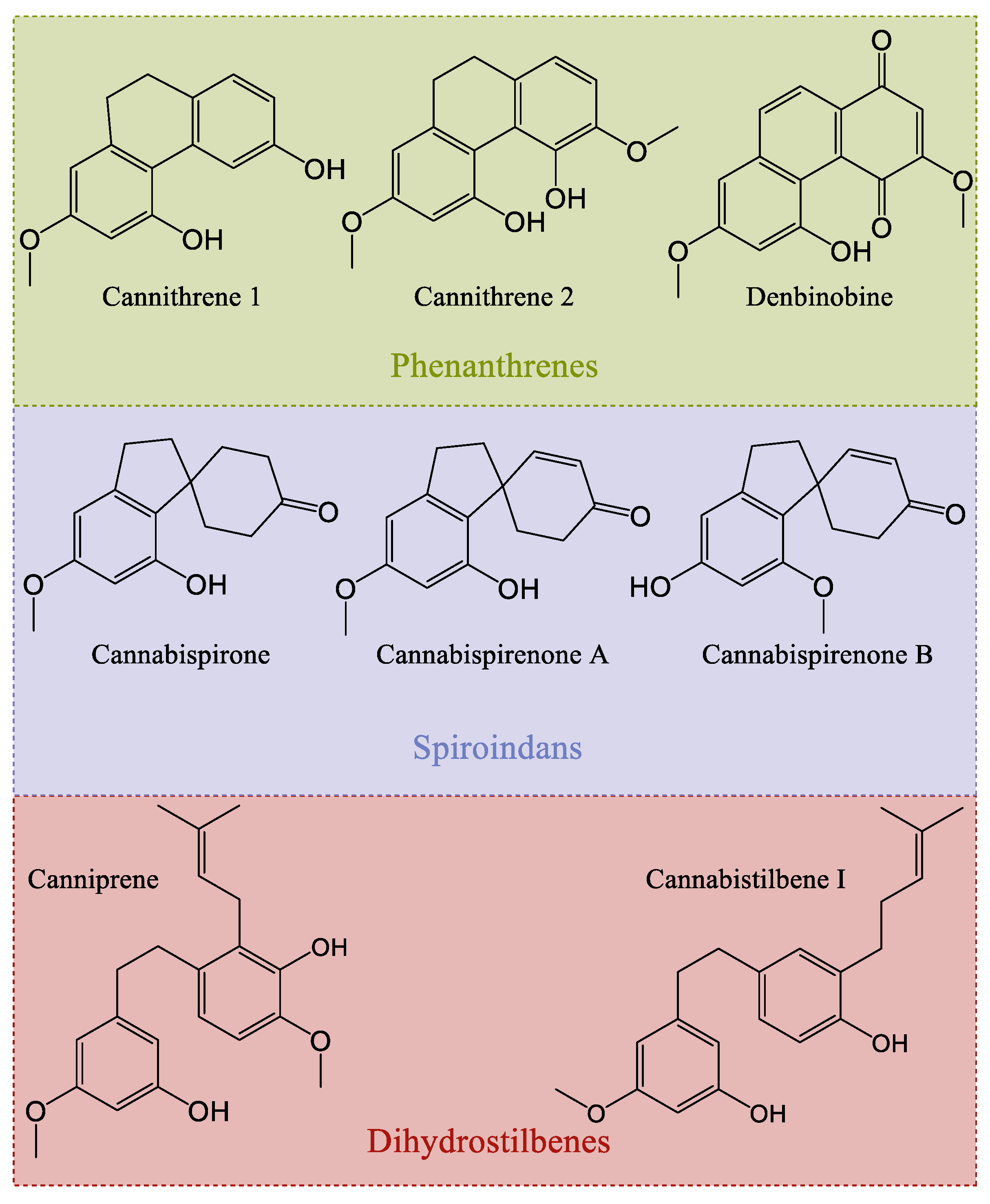100％の保証 Exploring the Lesser-Known Bioactive Natural Products of その他