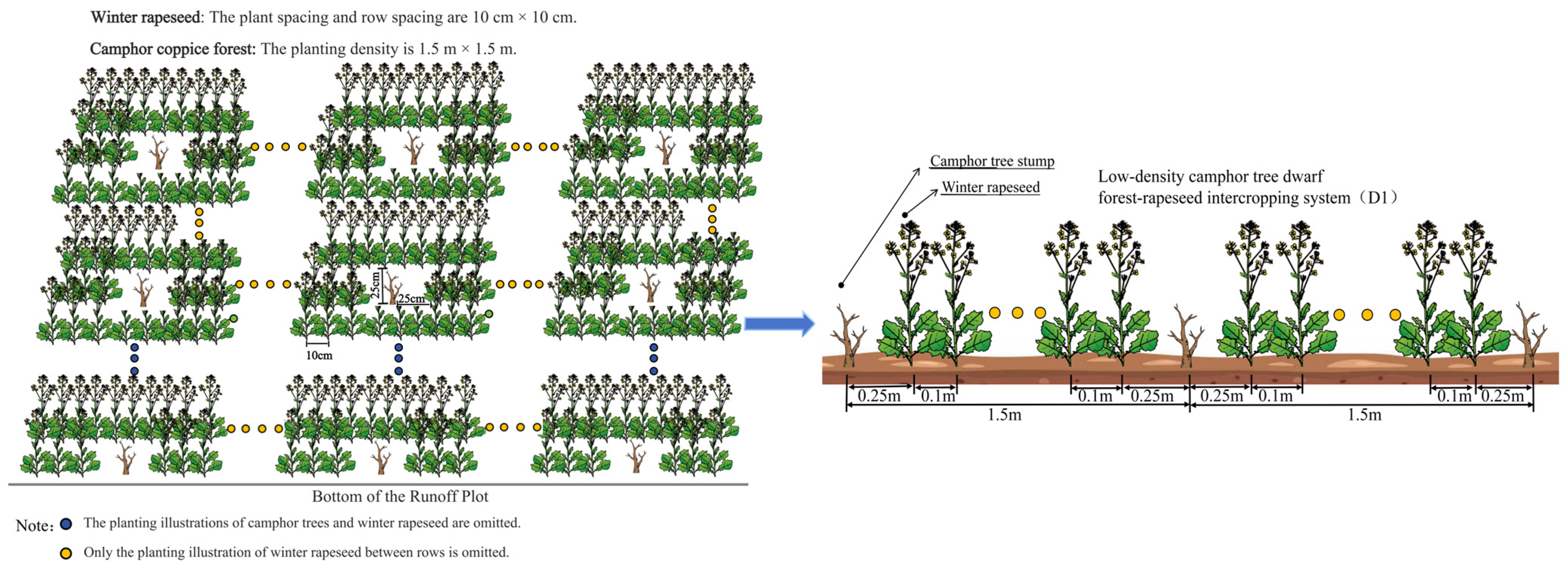 Plants 14 01374 g001