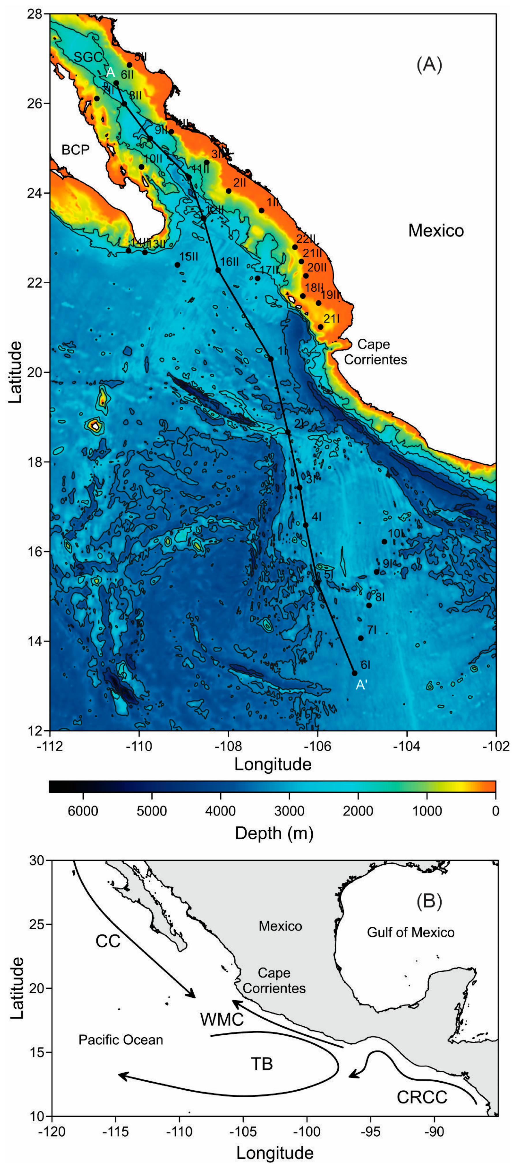 Plants 14 01375 g001 Plants 14 01375 g001