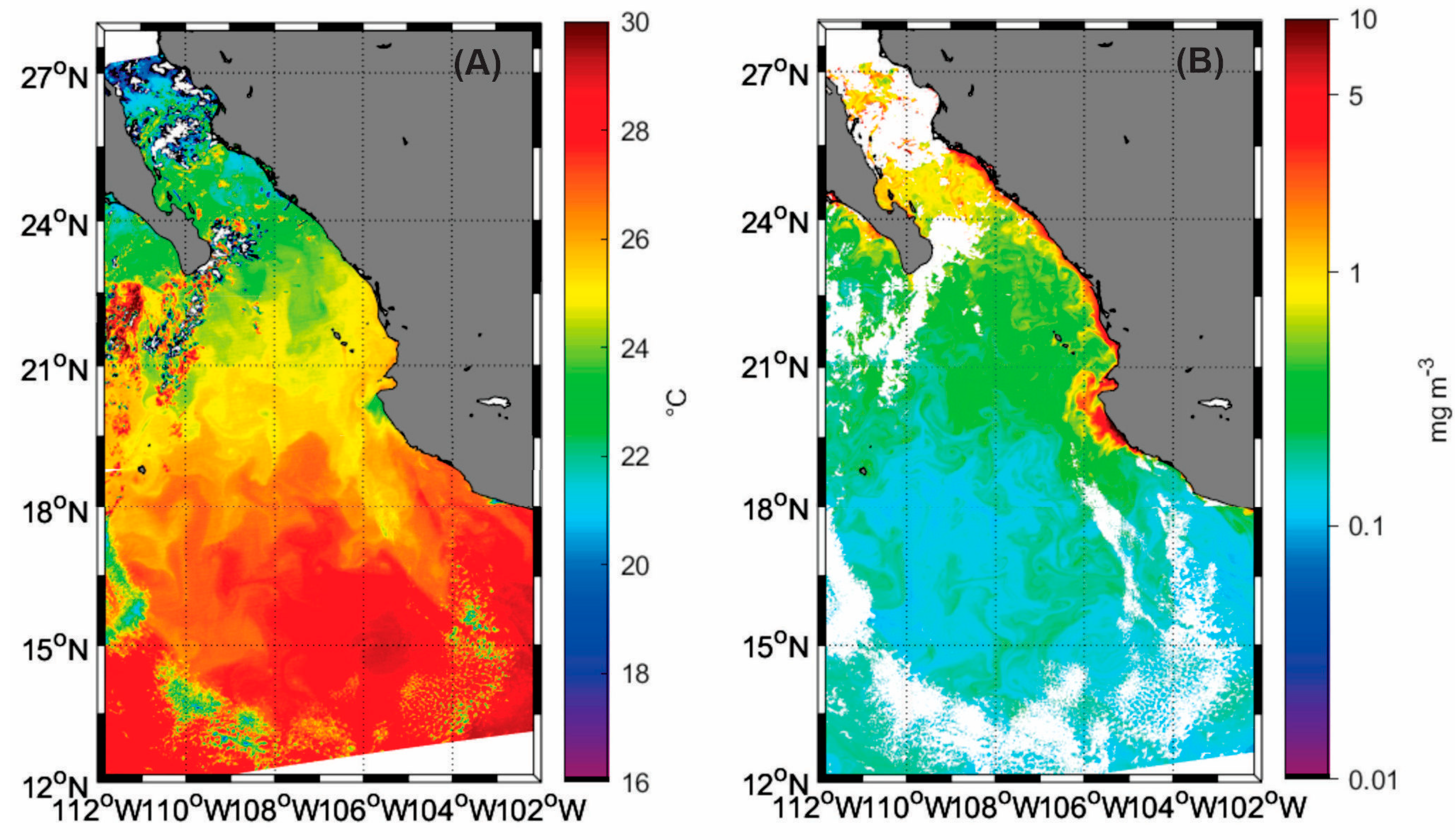 Plants 14 01375 g003 Plants 14 01375 g003