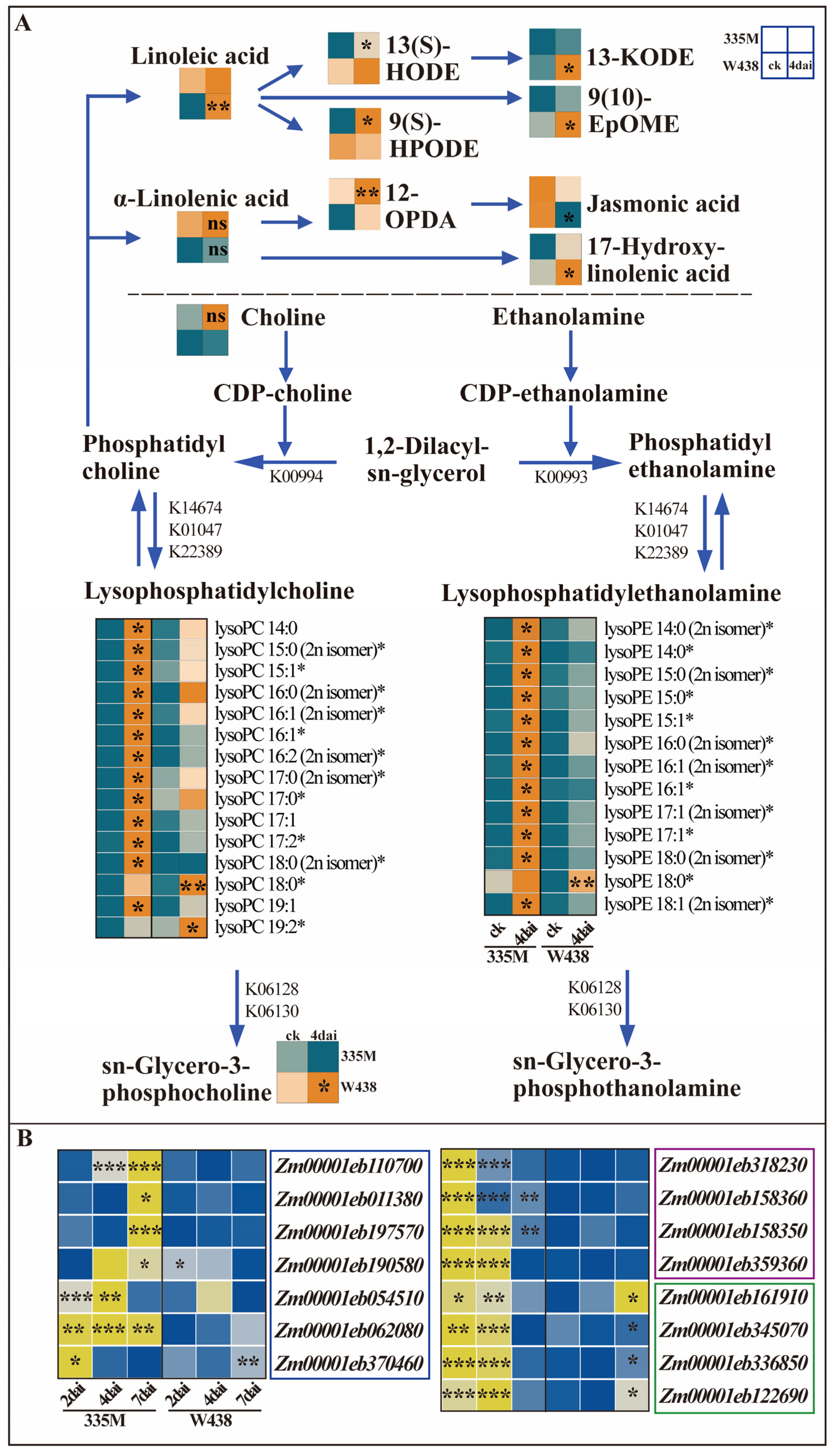 Plants 14 01376 g003