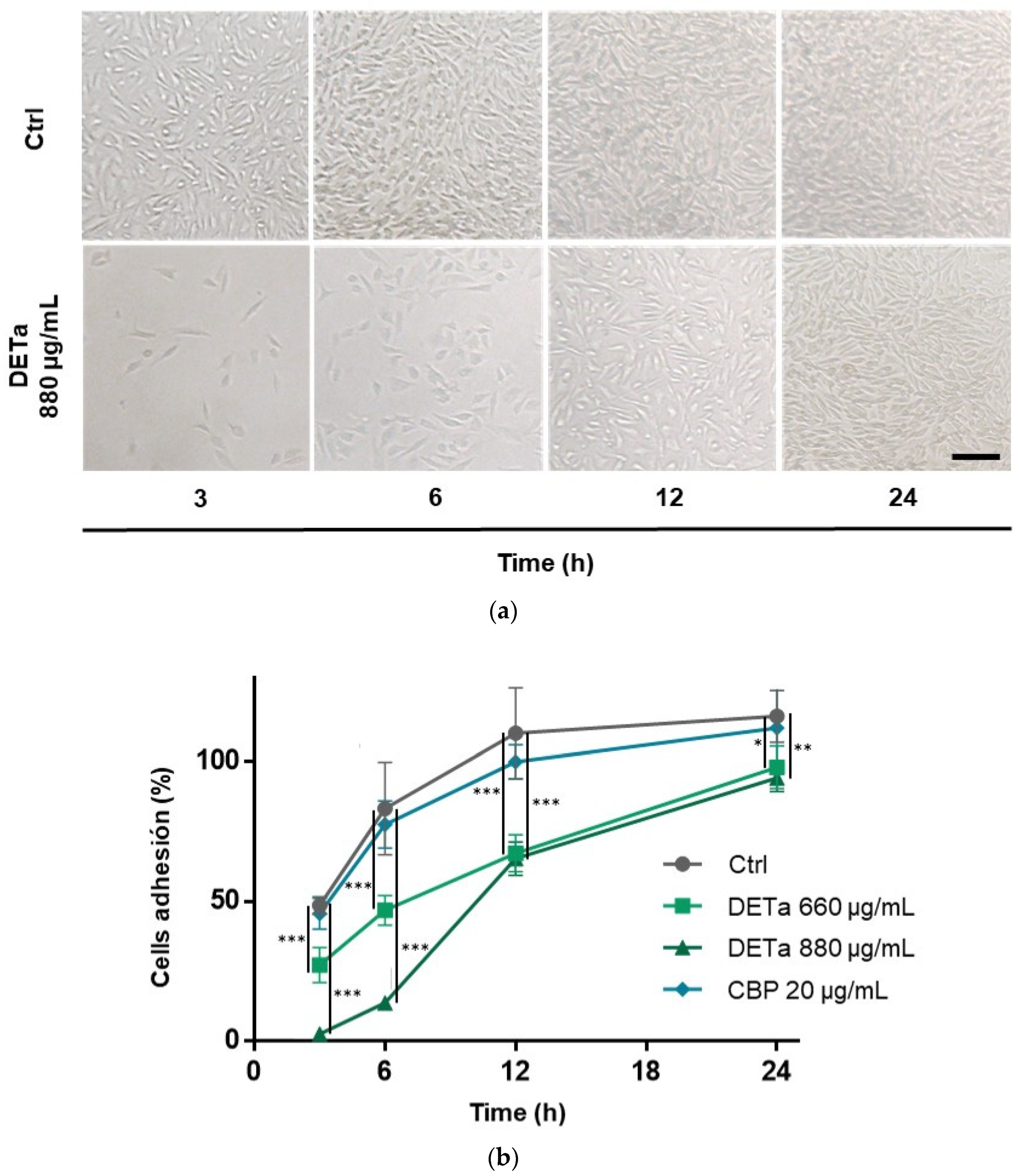 Plants 14 01379 g003