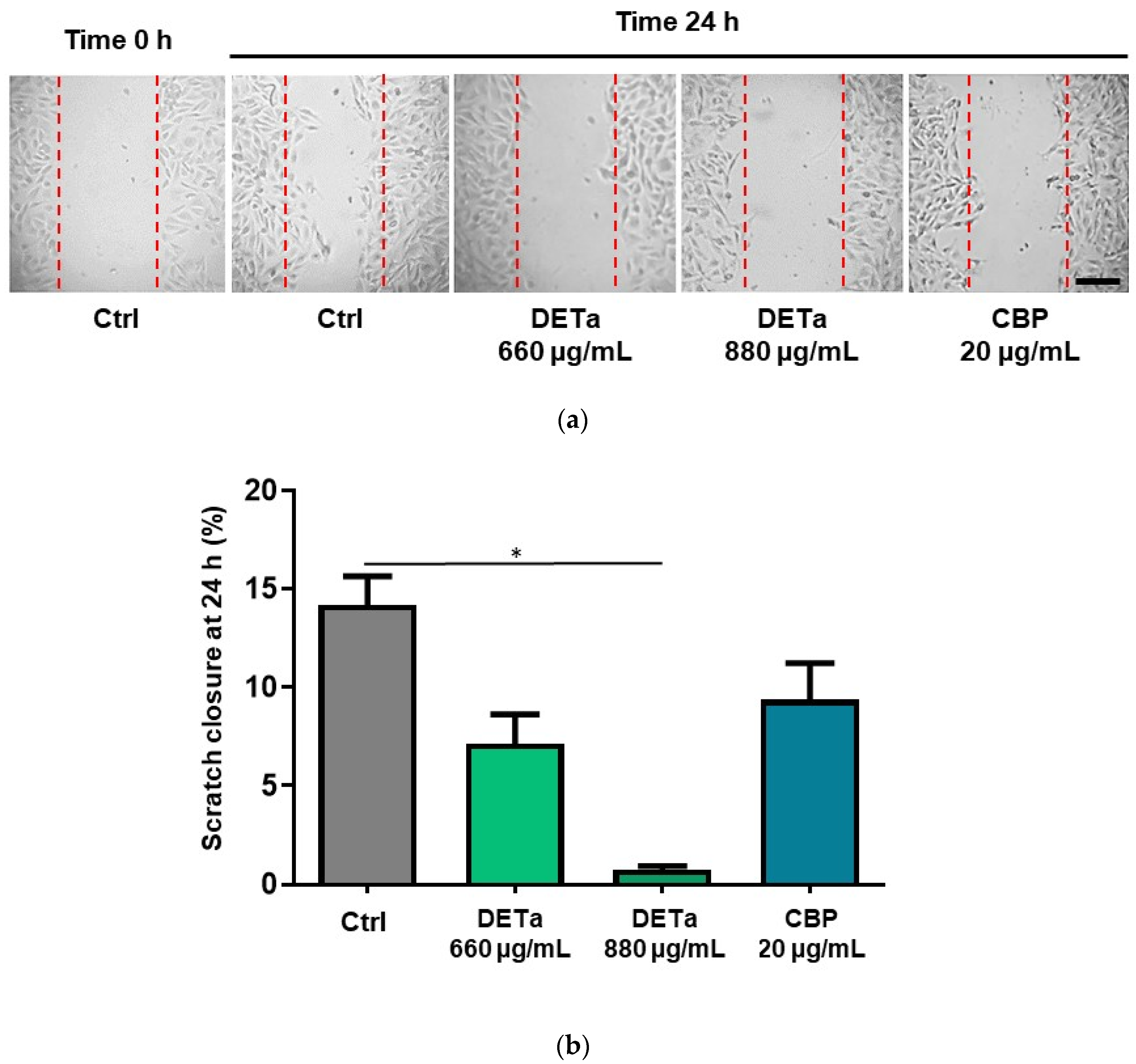 Plants 14 01379 g004