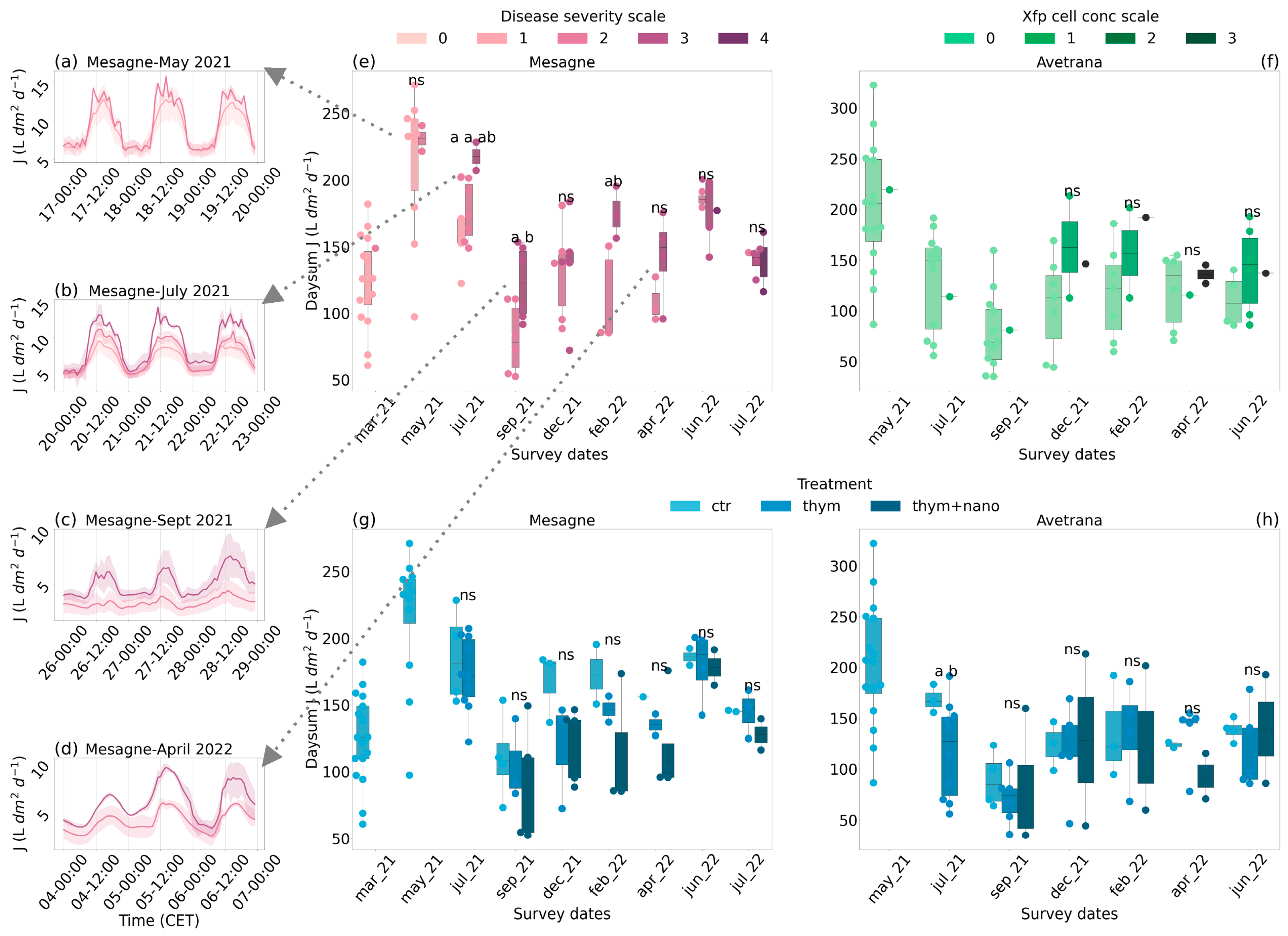 Plants 14 01380 g003