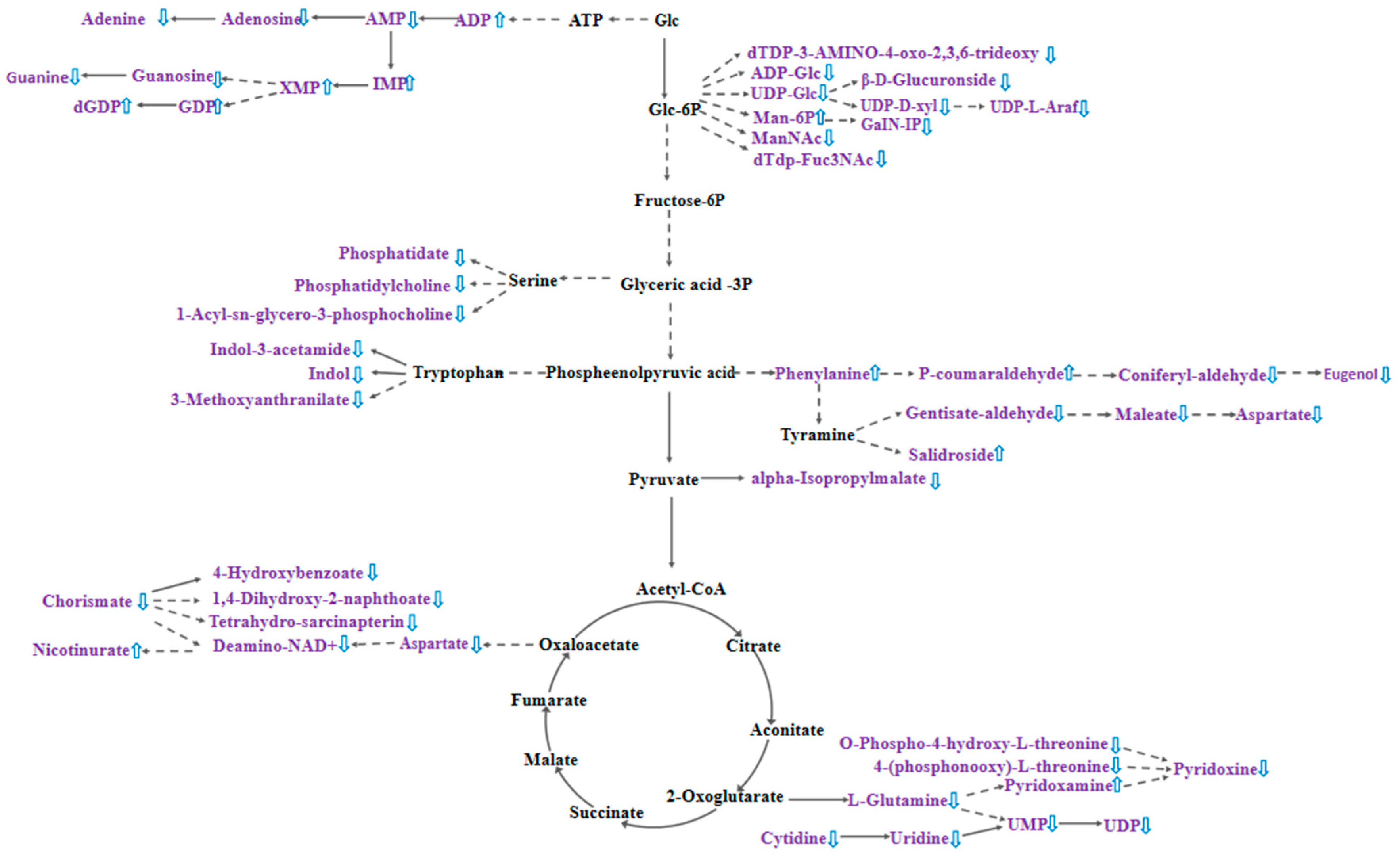 Plants 14 01381 g006