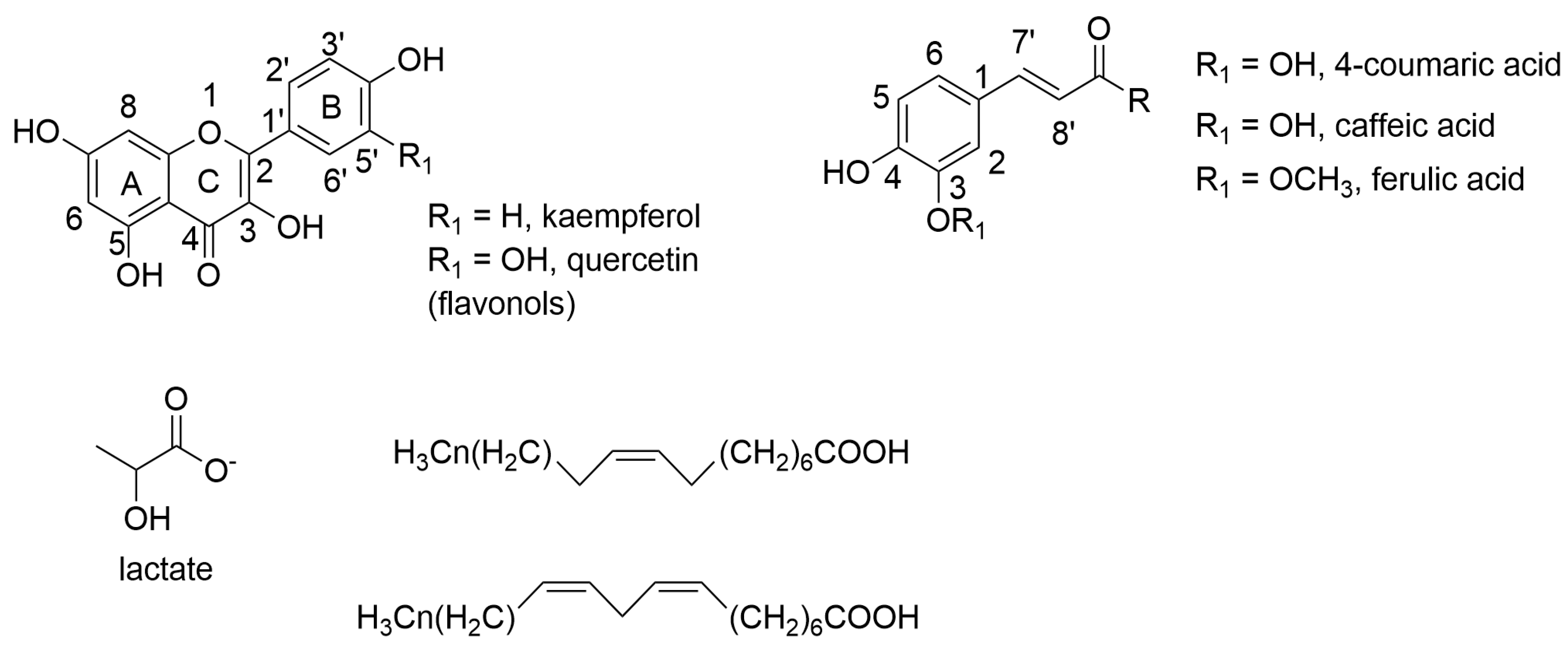 Plants 14 01383 g006