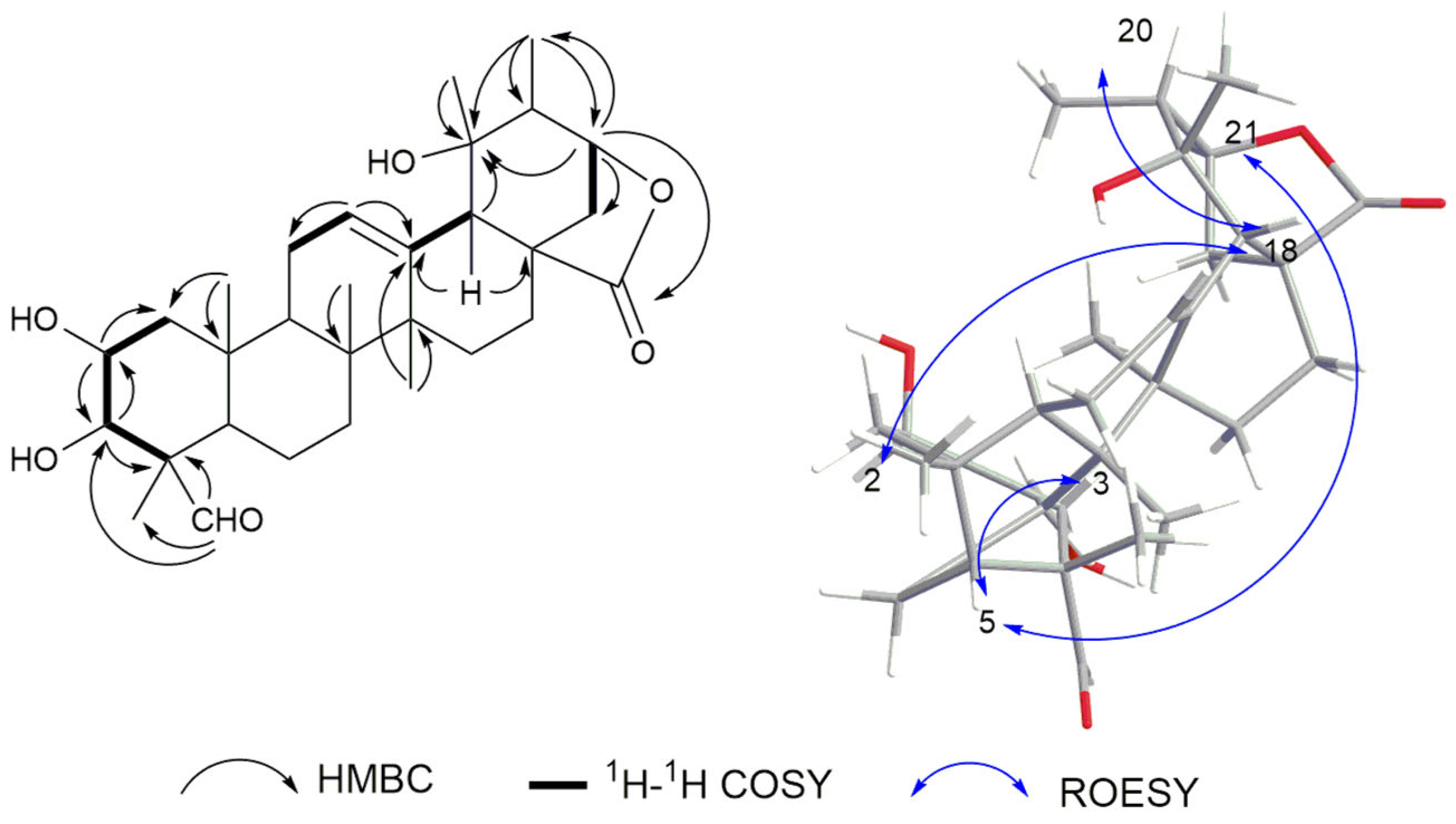 Plants 14 01385 g002