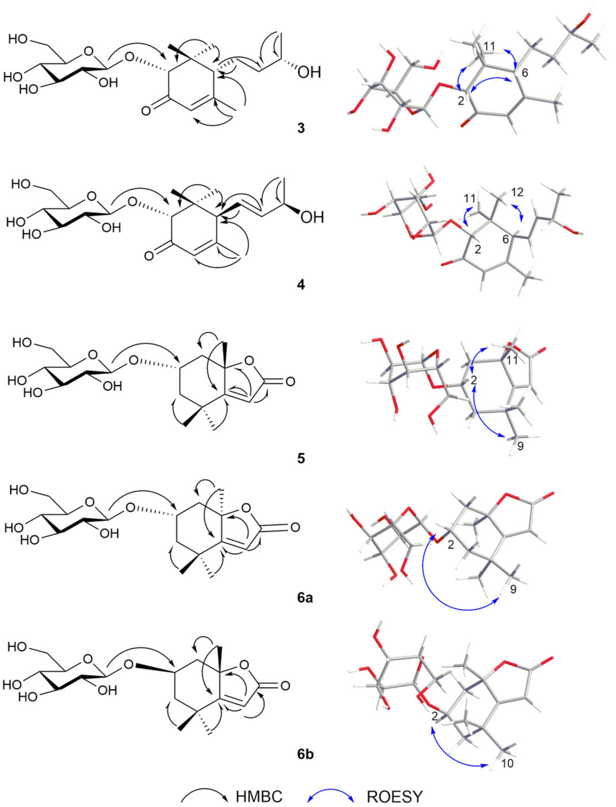 Plants 14 01385 g004