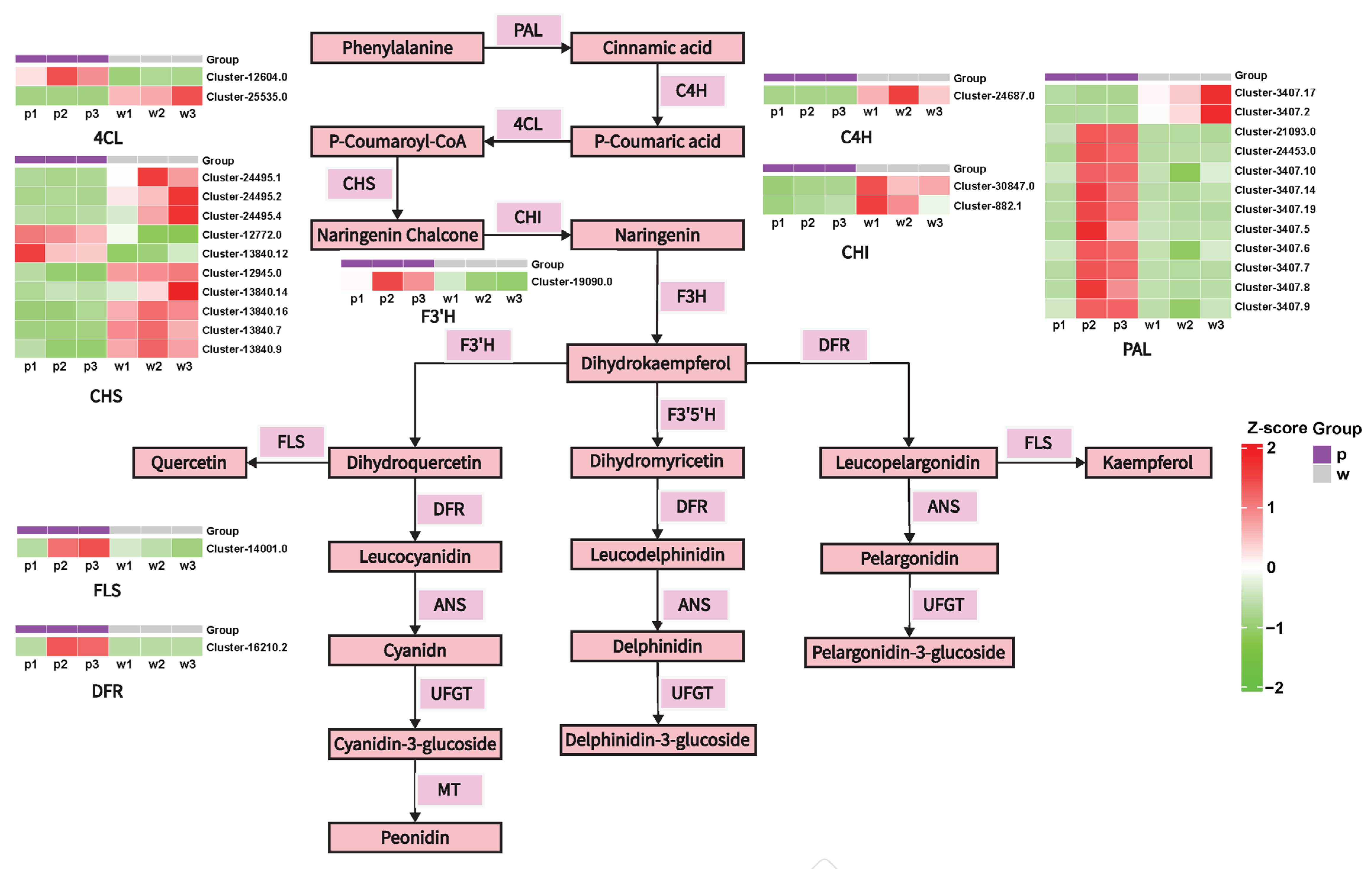 Plants 14 01387 g005