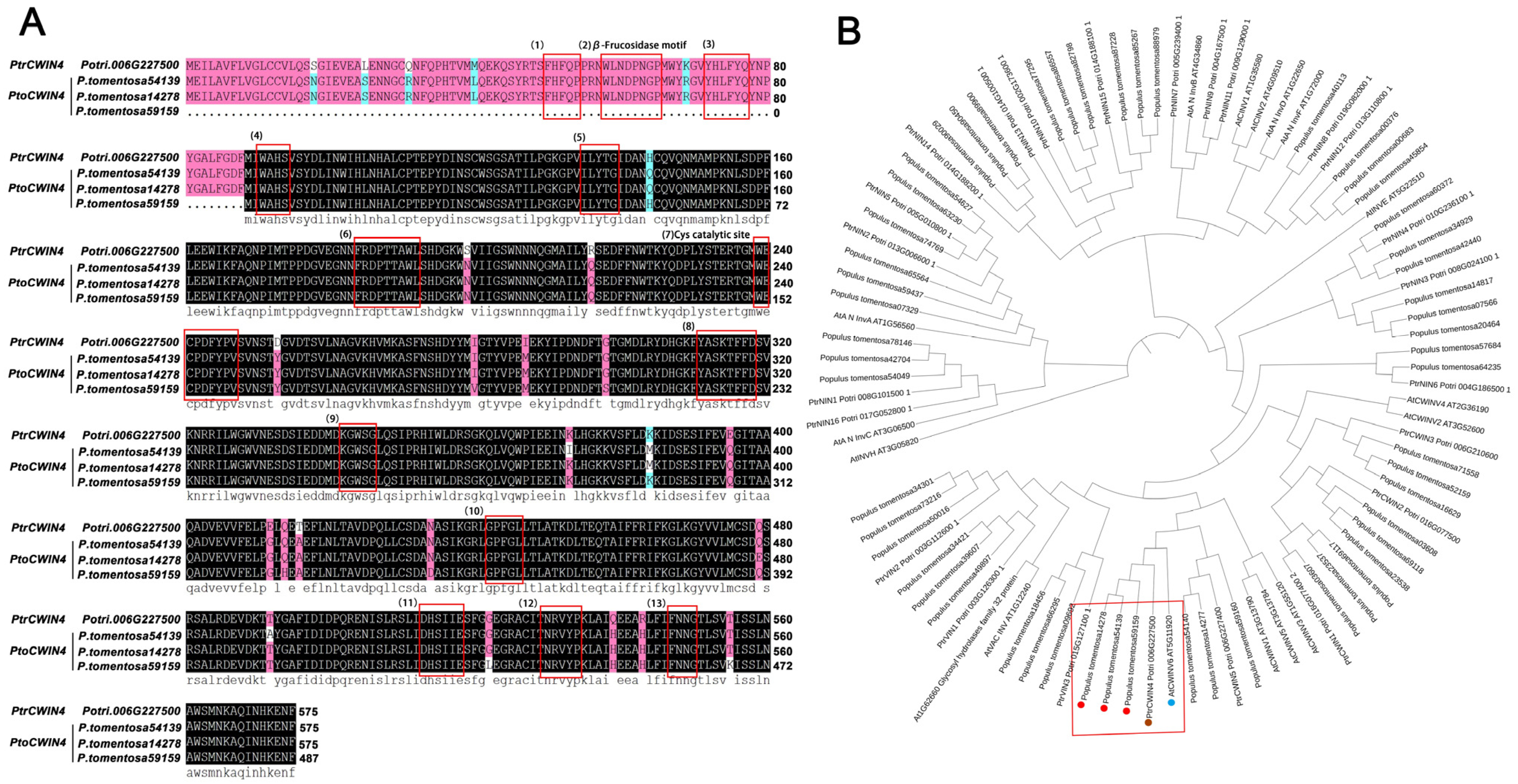 Plants 14 01388 g001