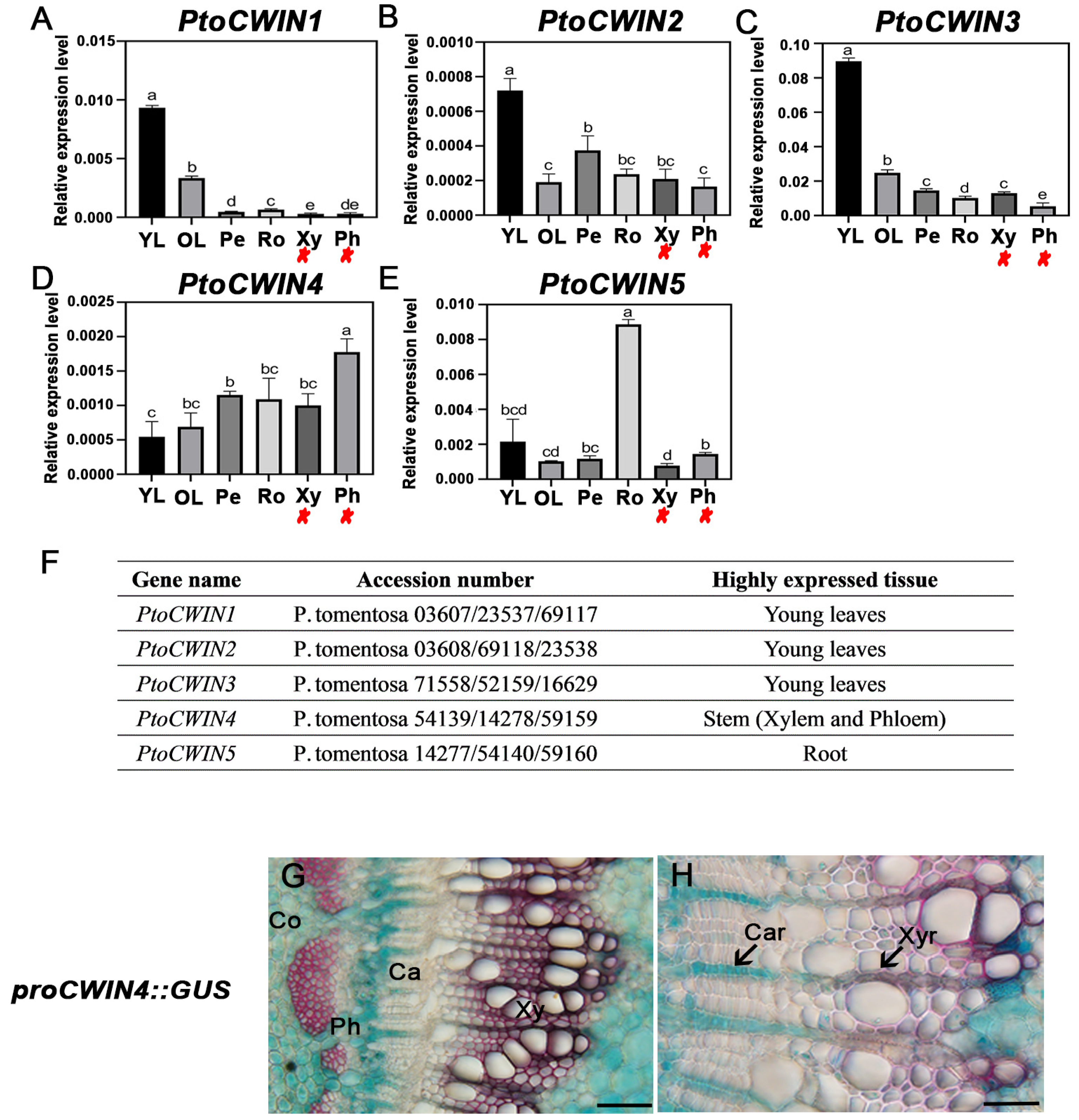 Plants 14 01388 g002