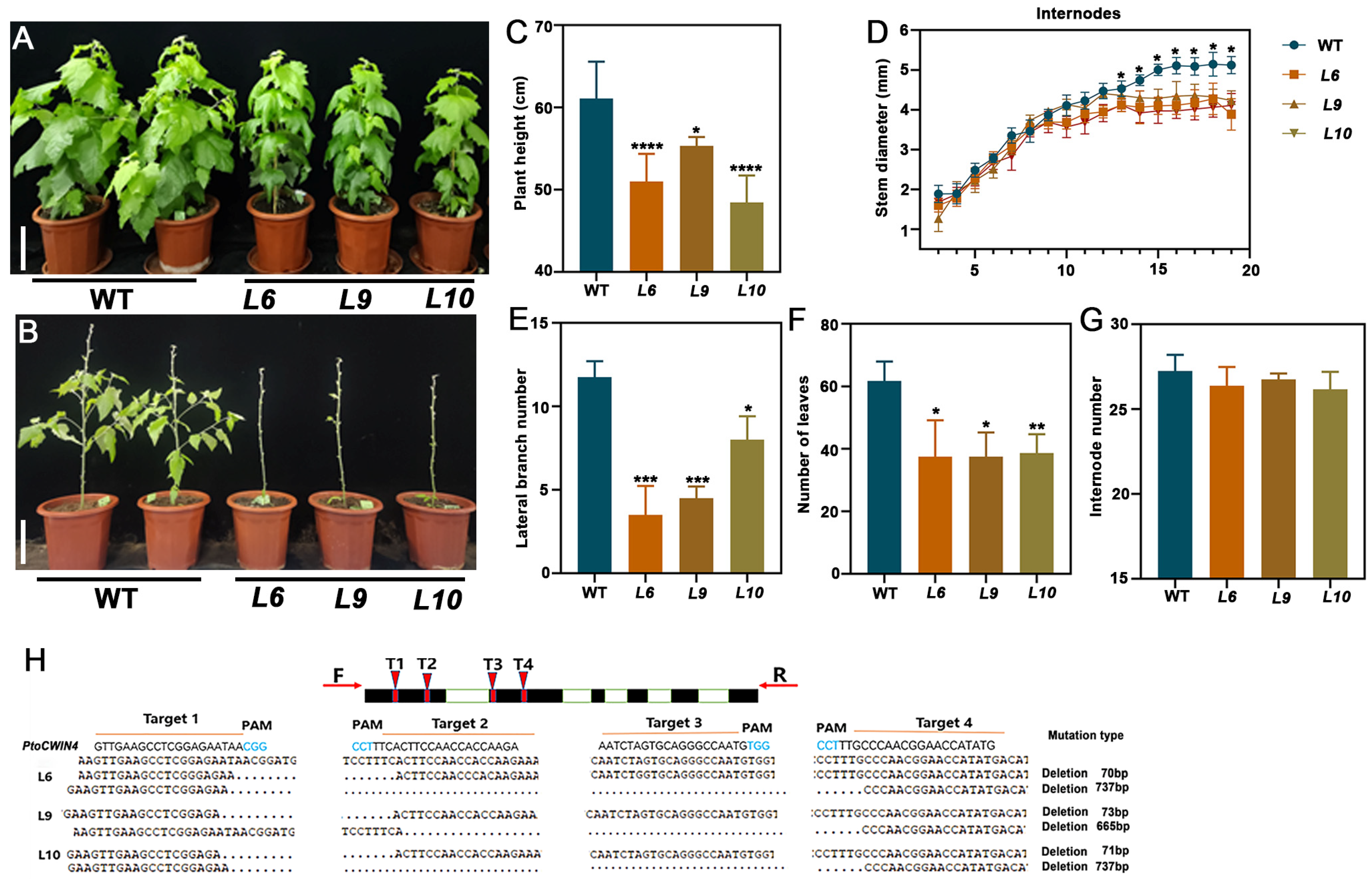 Plants 14 01388 g003