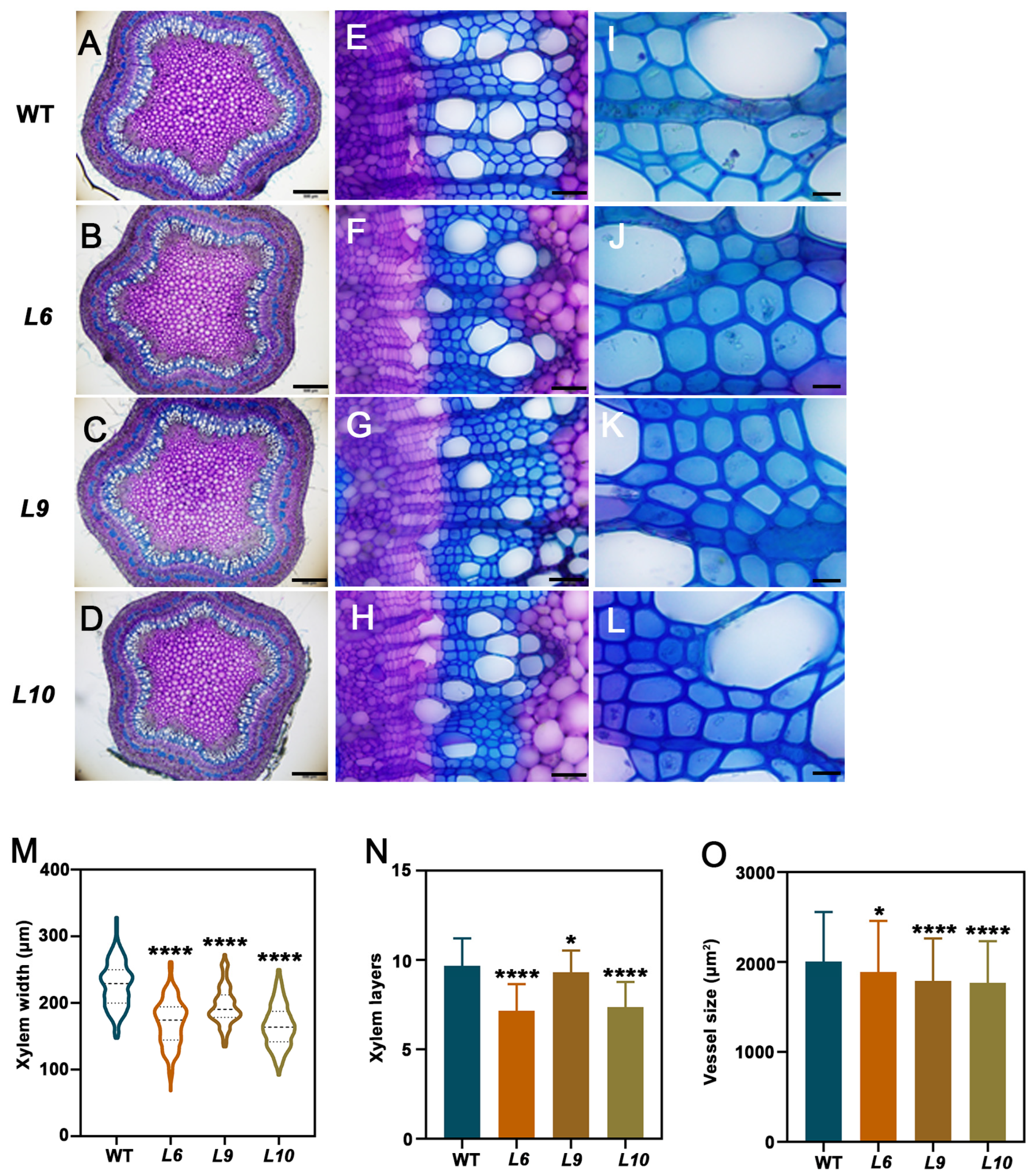 Plants 14 01388 g004